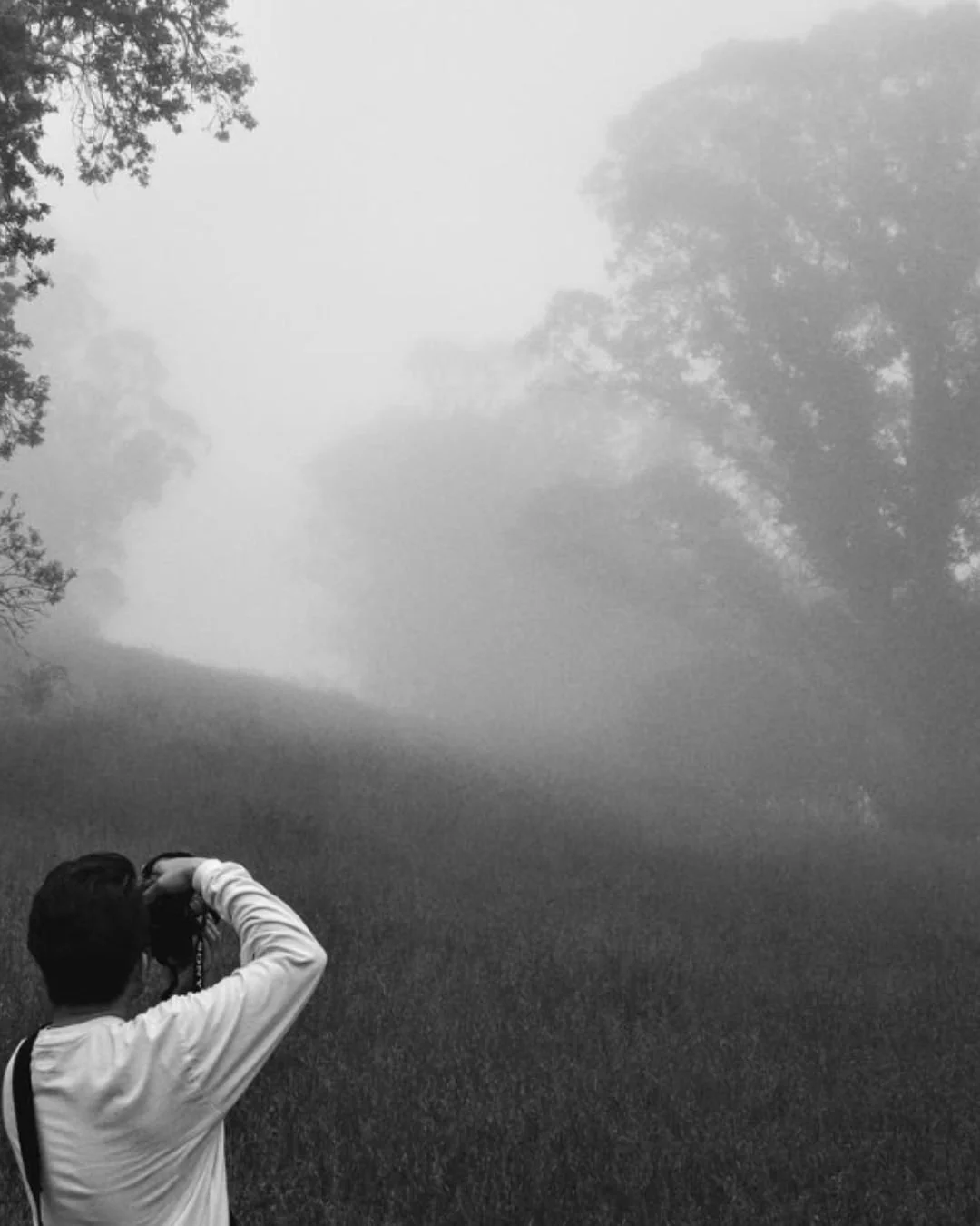 the roots by S.W.

Tempted and nearing a clearing of sorts, ⁠
The shade of leaves had a crisp, unlike before. ⁠
A tender, bright crunch supported under every step. 

Photo credit: @chans_moments