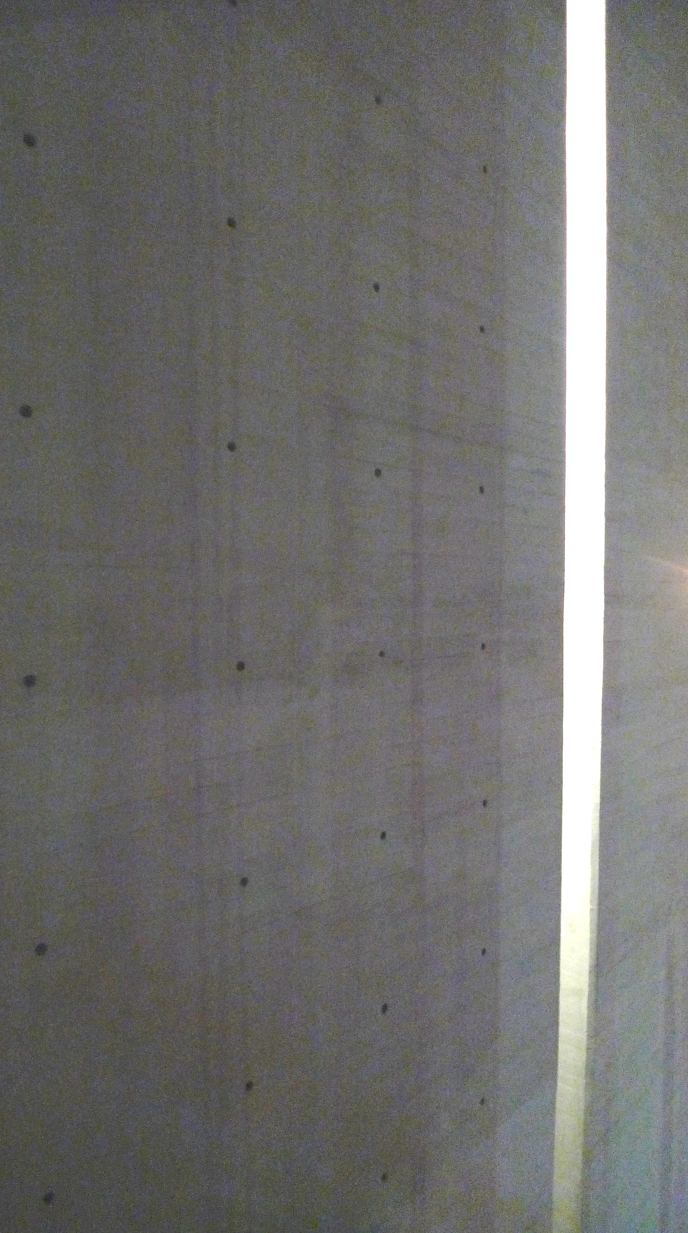 P1180481_modified.jpg