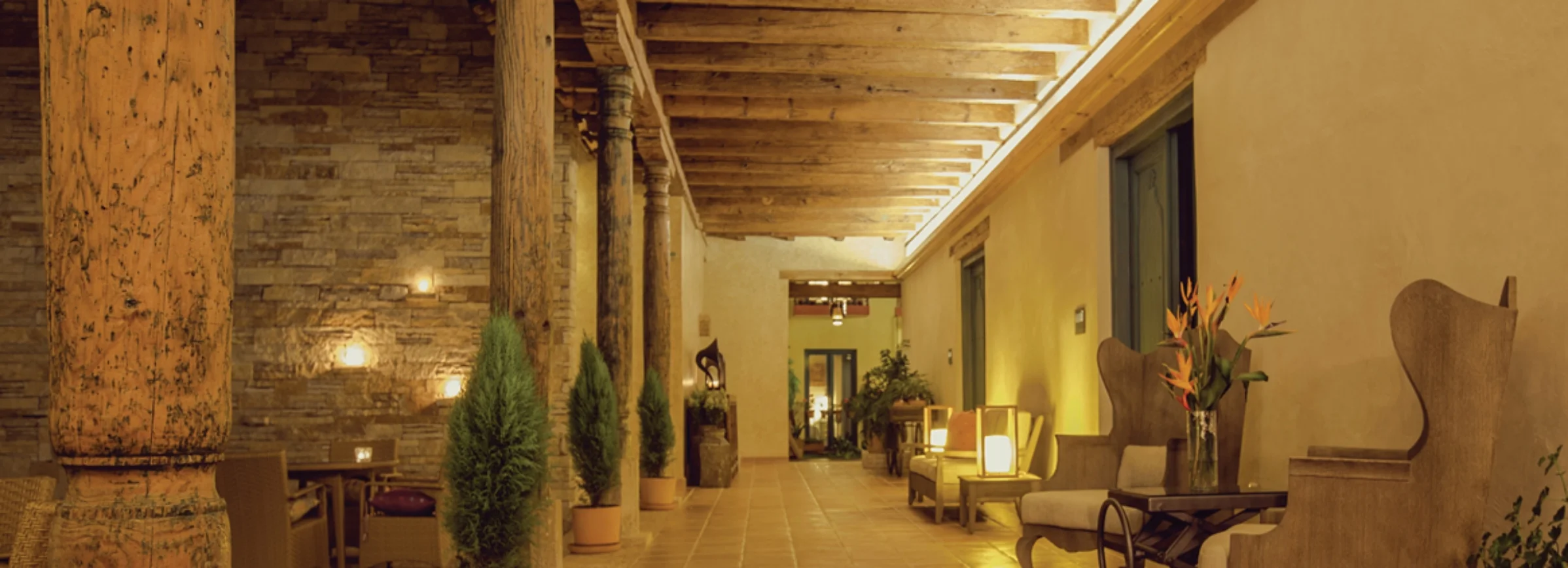 Portada-website.jpg