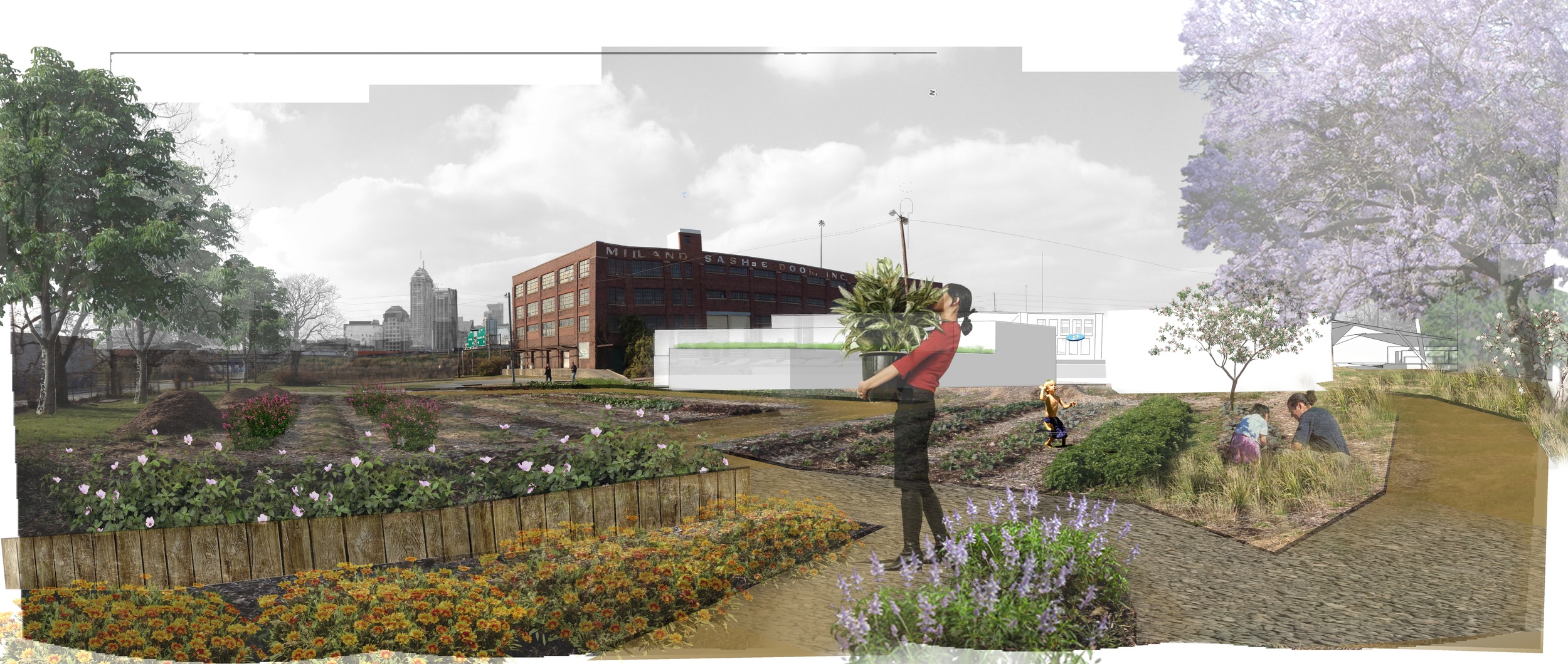 panorama urban farm2.jpg