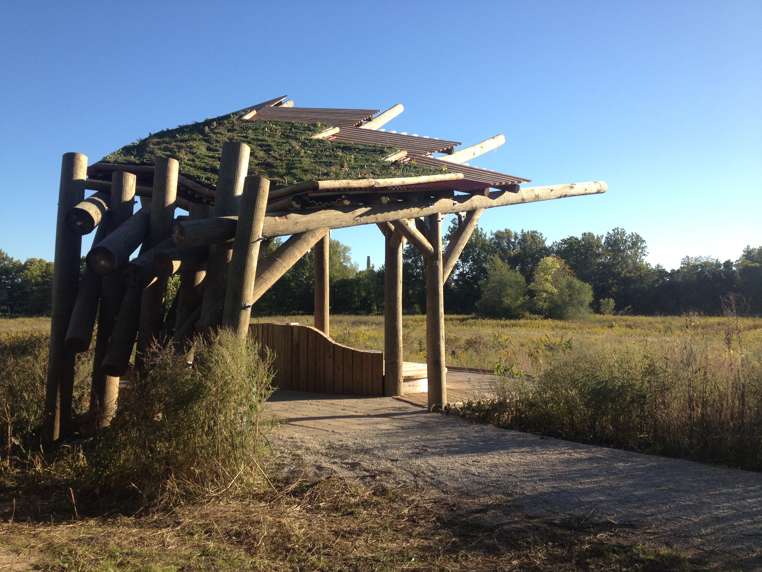 green roof installed.jpg