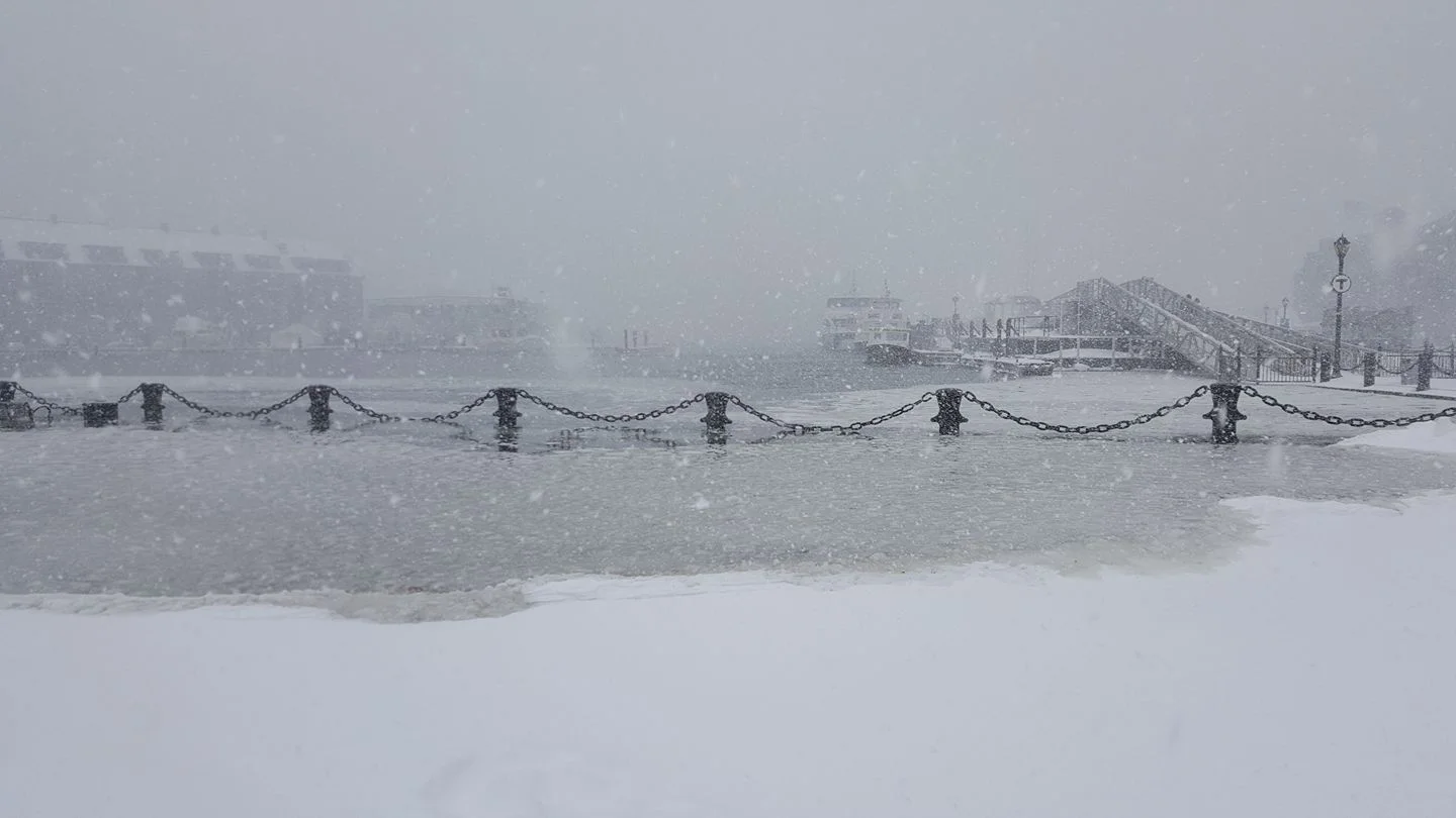 Storm surge in Christopher Columbus Park.