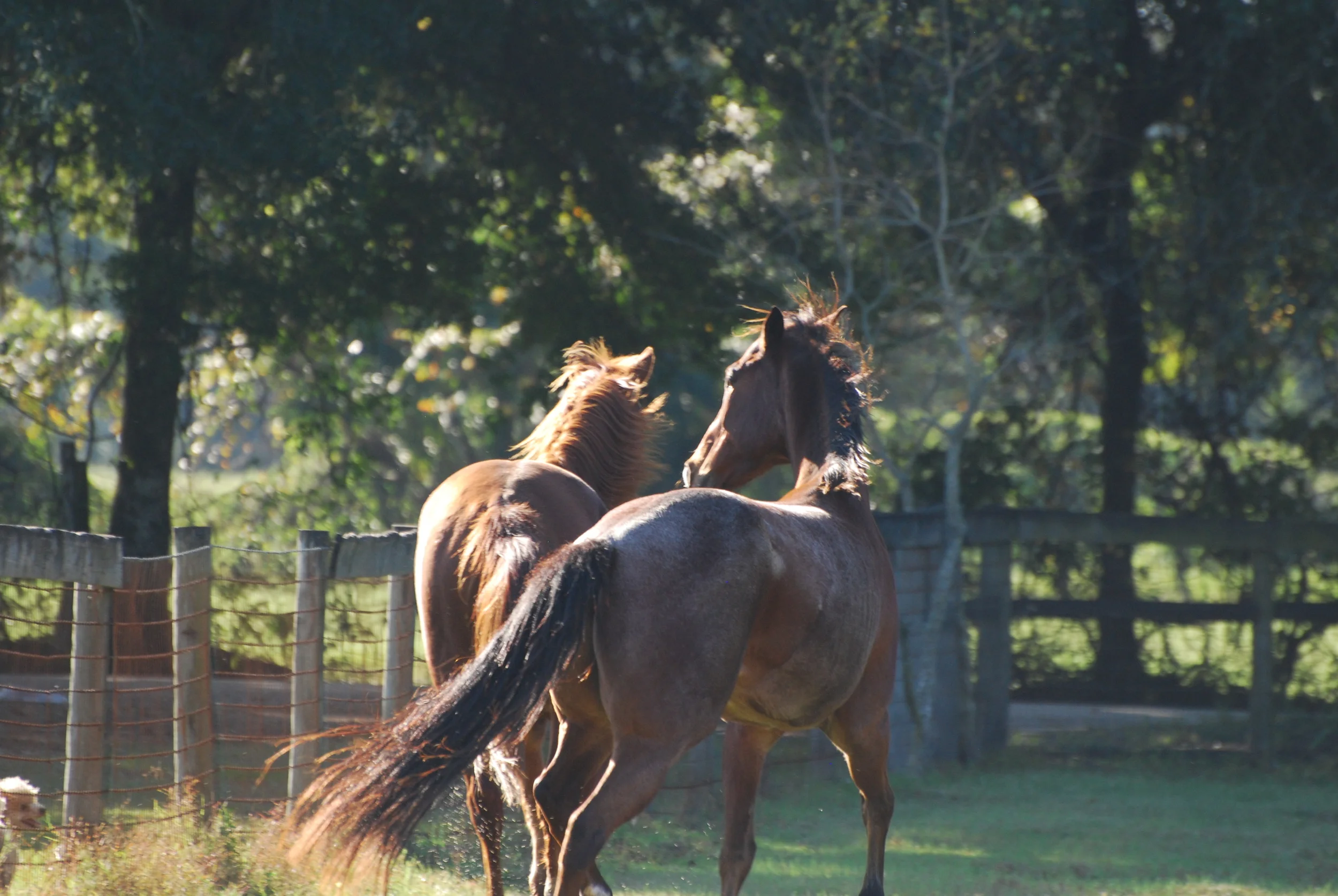 Momma Said There Would Be Days Like this