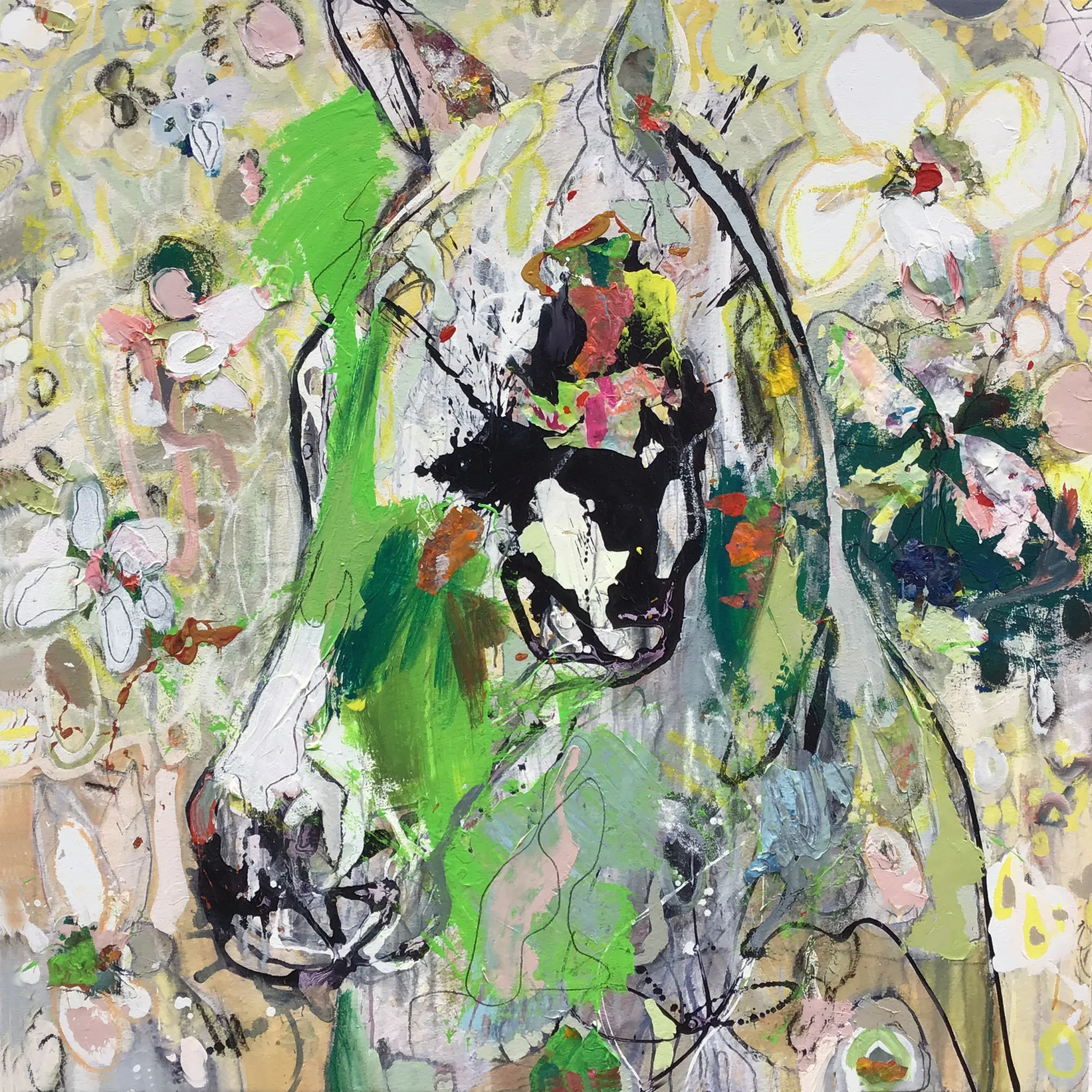 Lolita 50x50