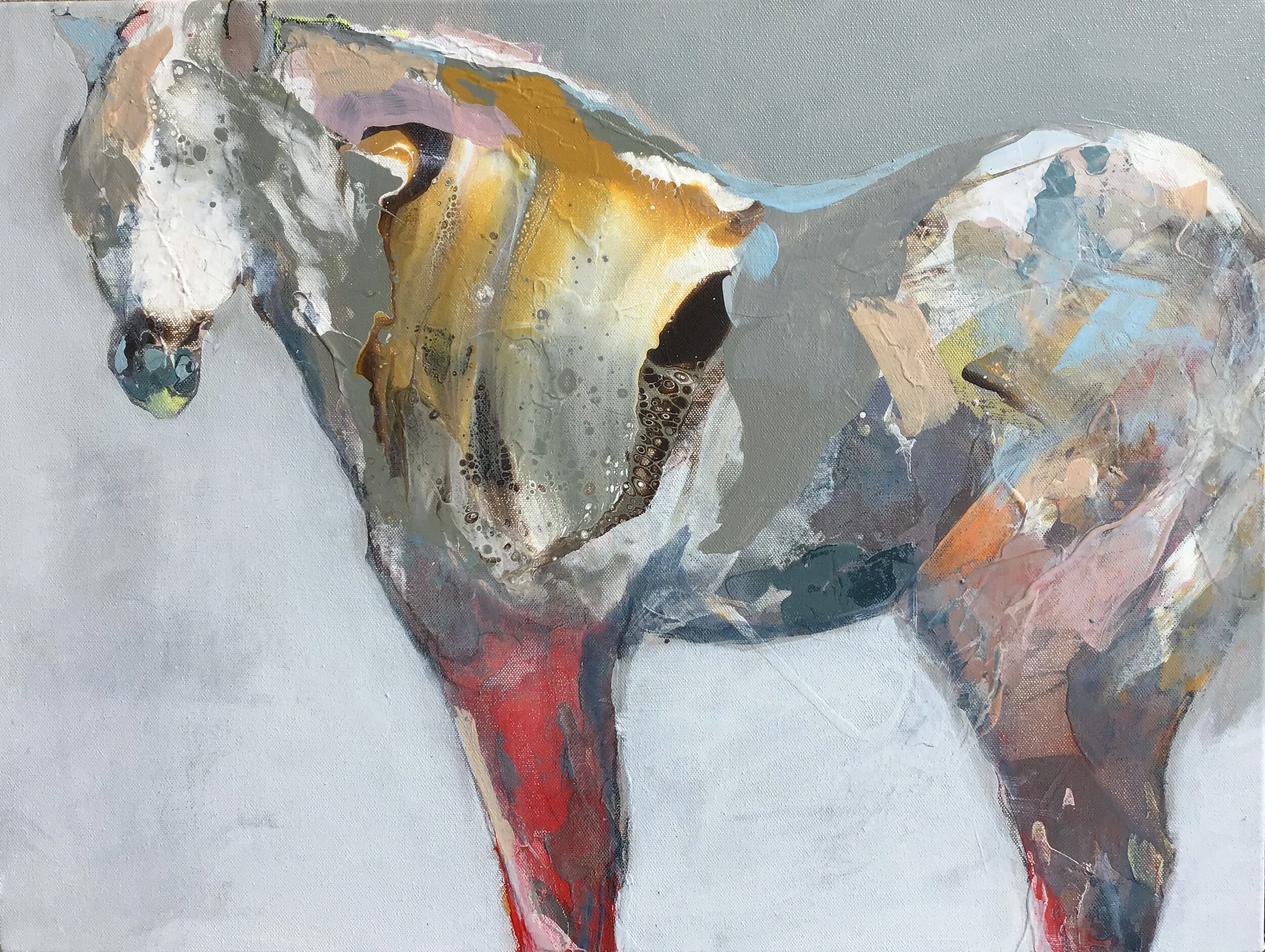 Announcing Solo Show