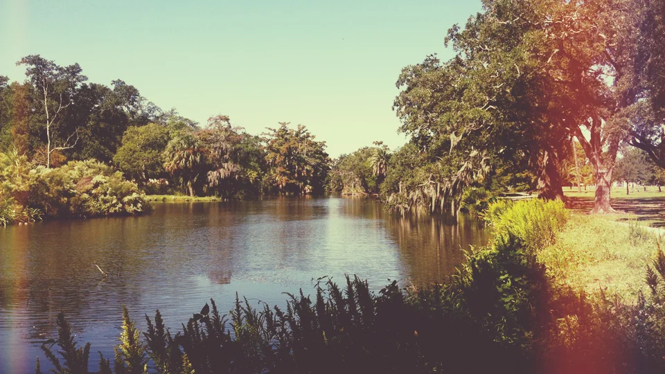 bayou.jpg