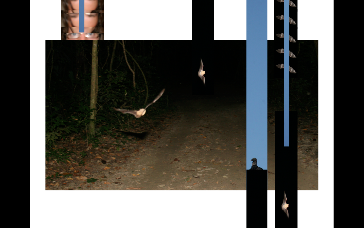 Tayrona Diary 1 .png