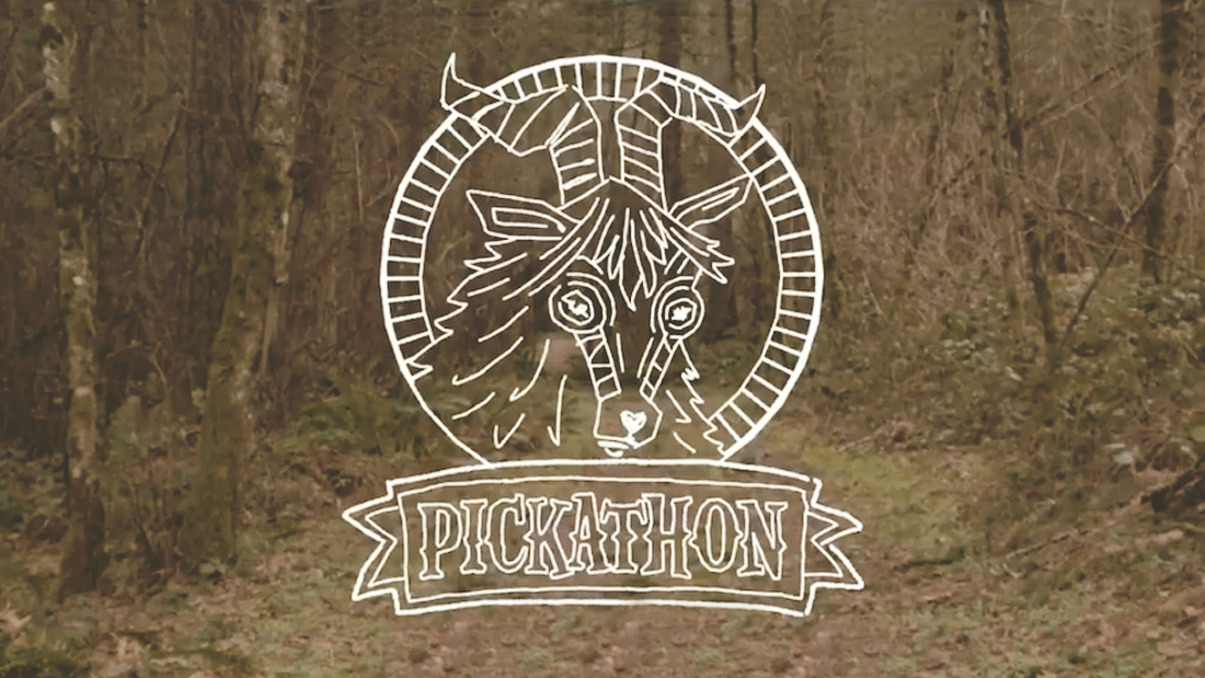 pickathon.jpg