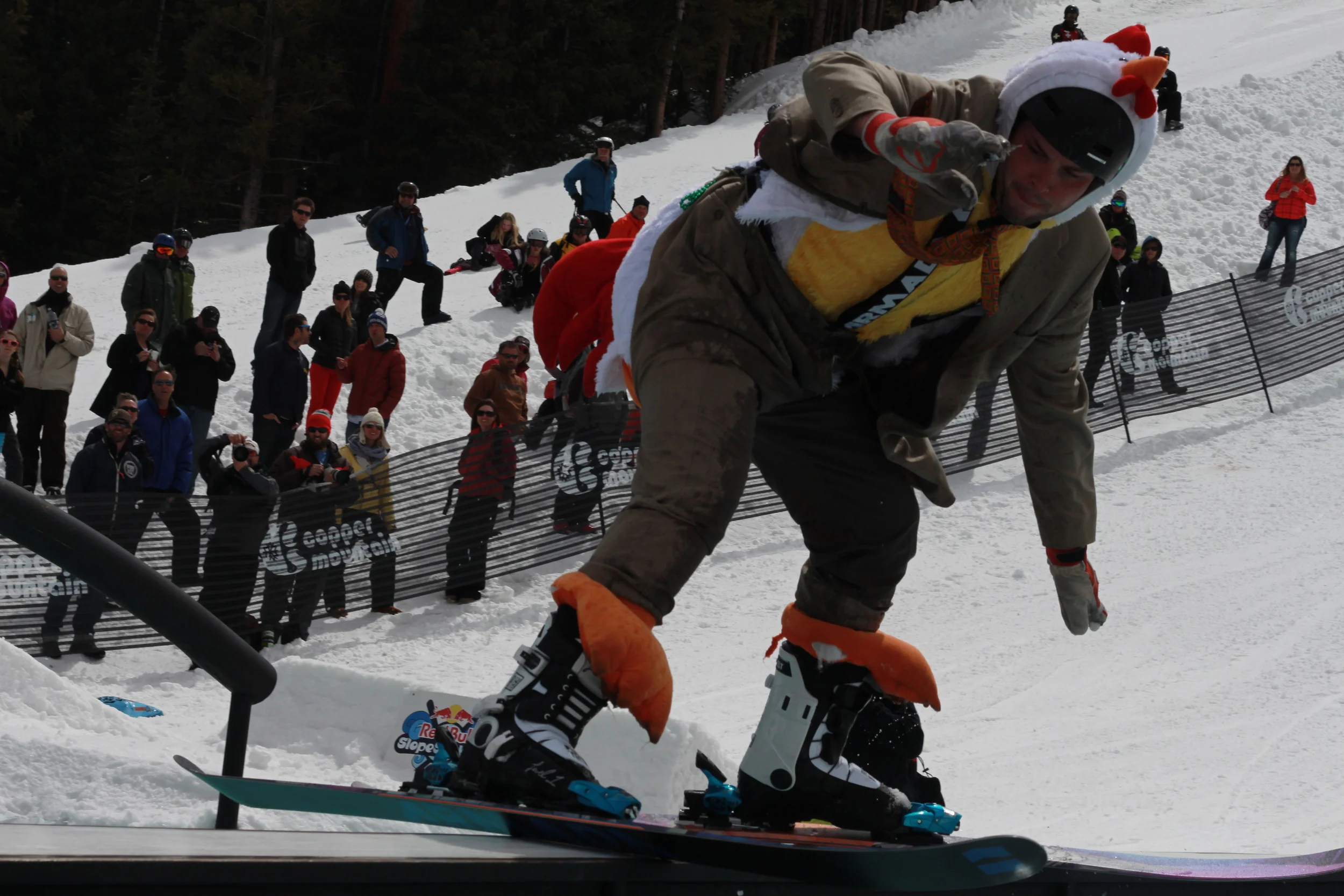 chicken close up.jpg