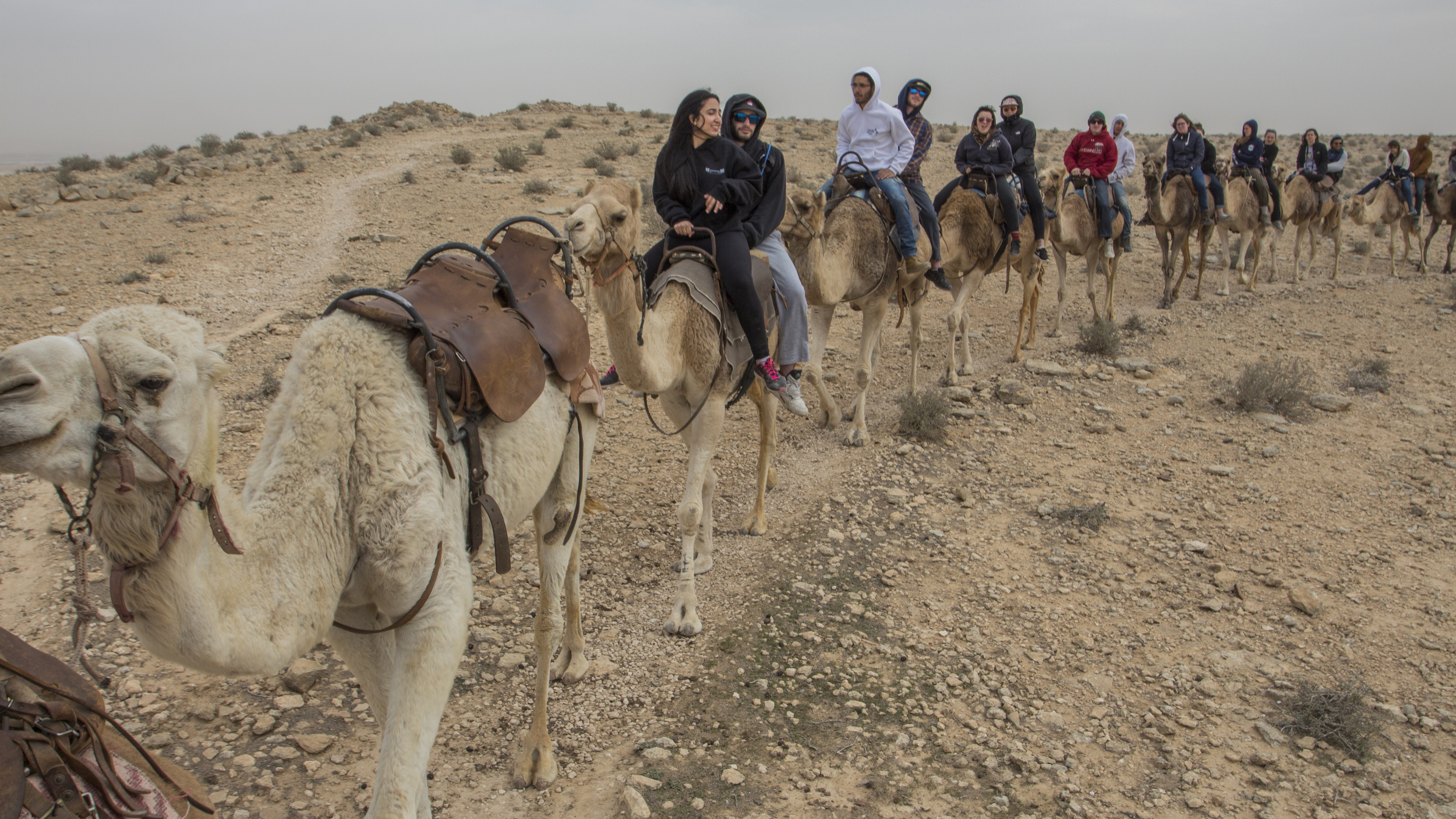 camel ride.jpg