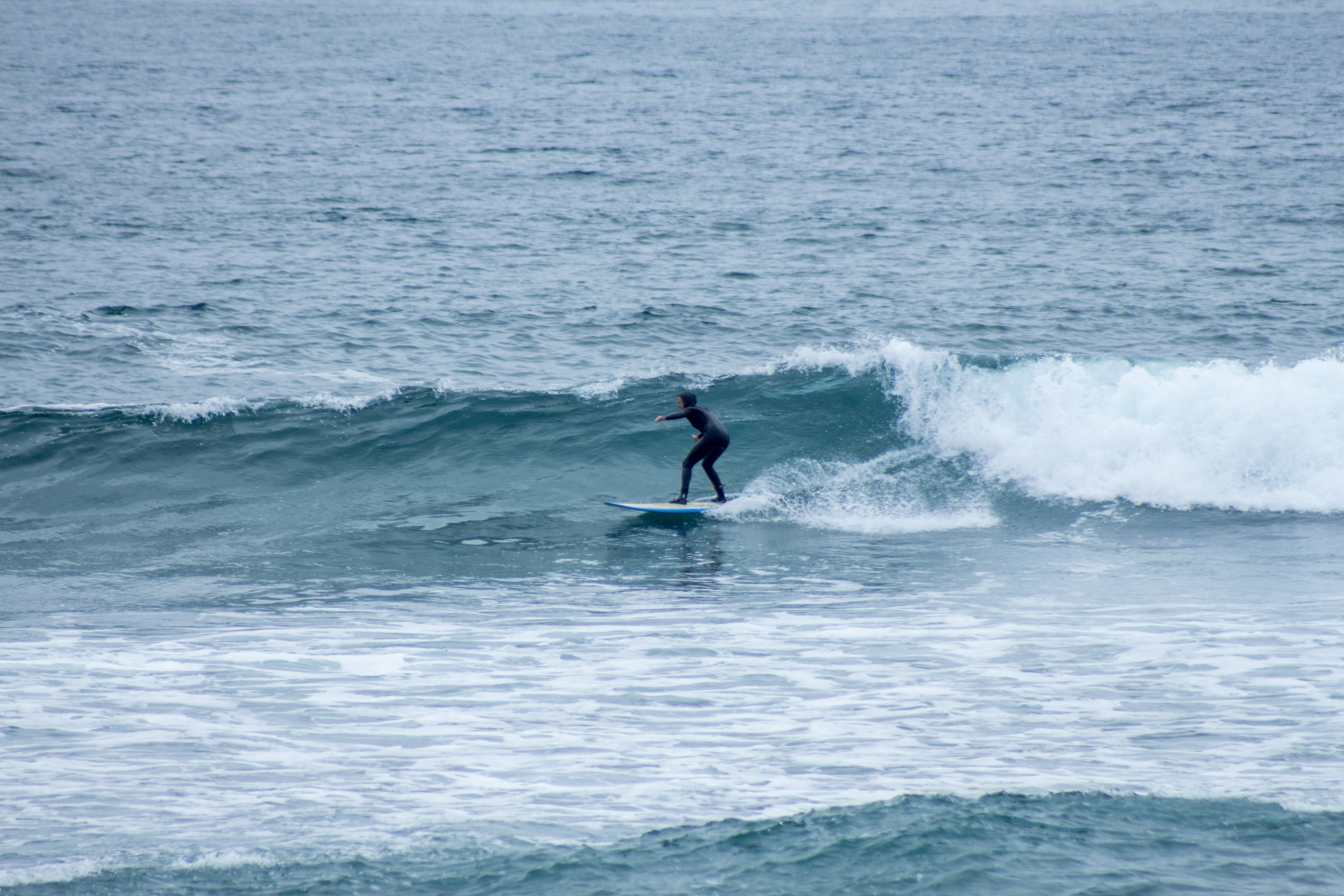 surfin Oregon.jpg