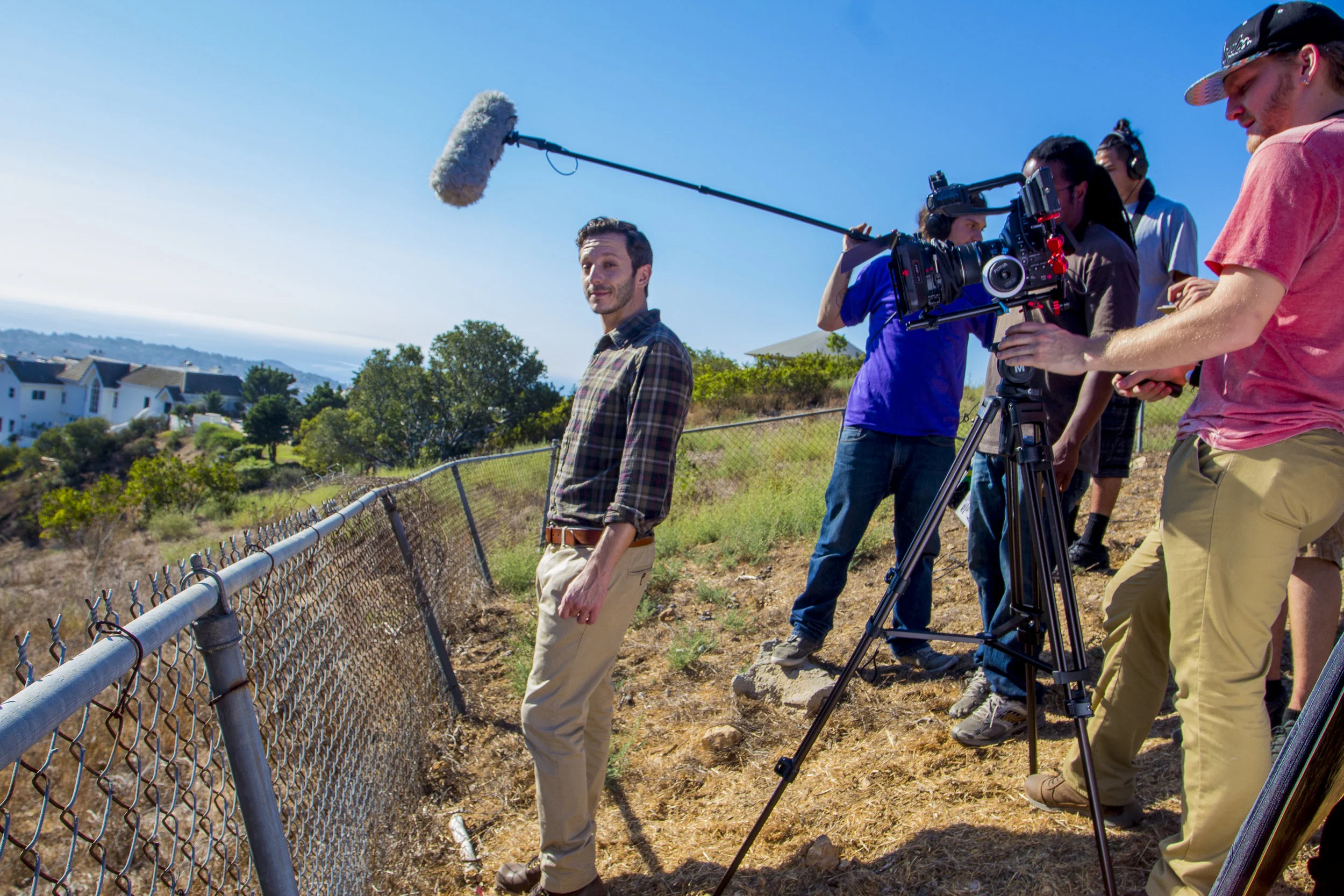 fence glance color.jpg