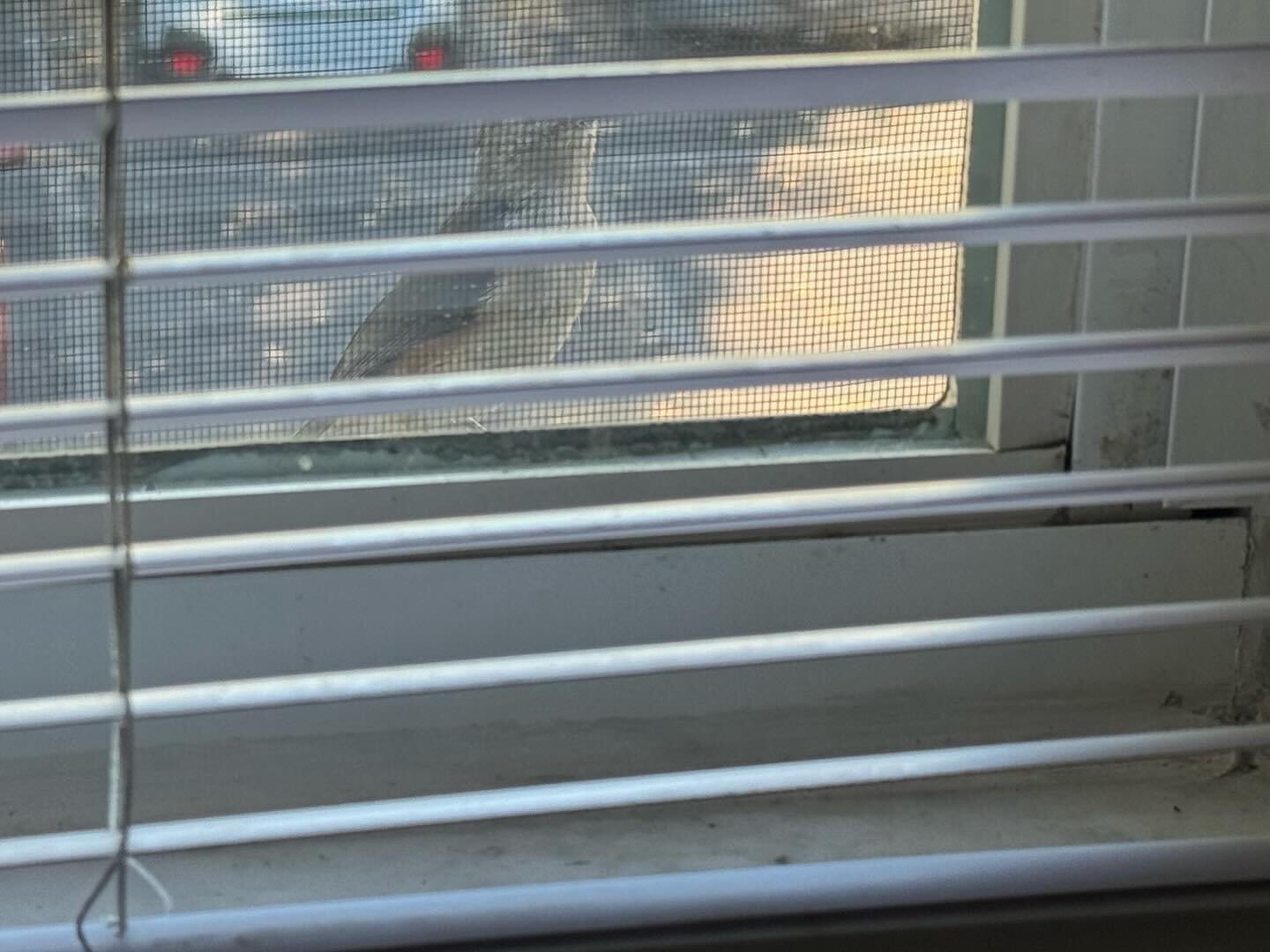 Had someone come by to say hello this morning