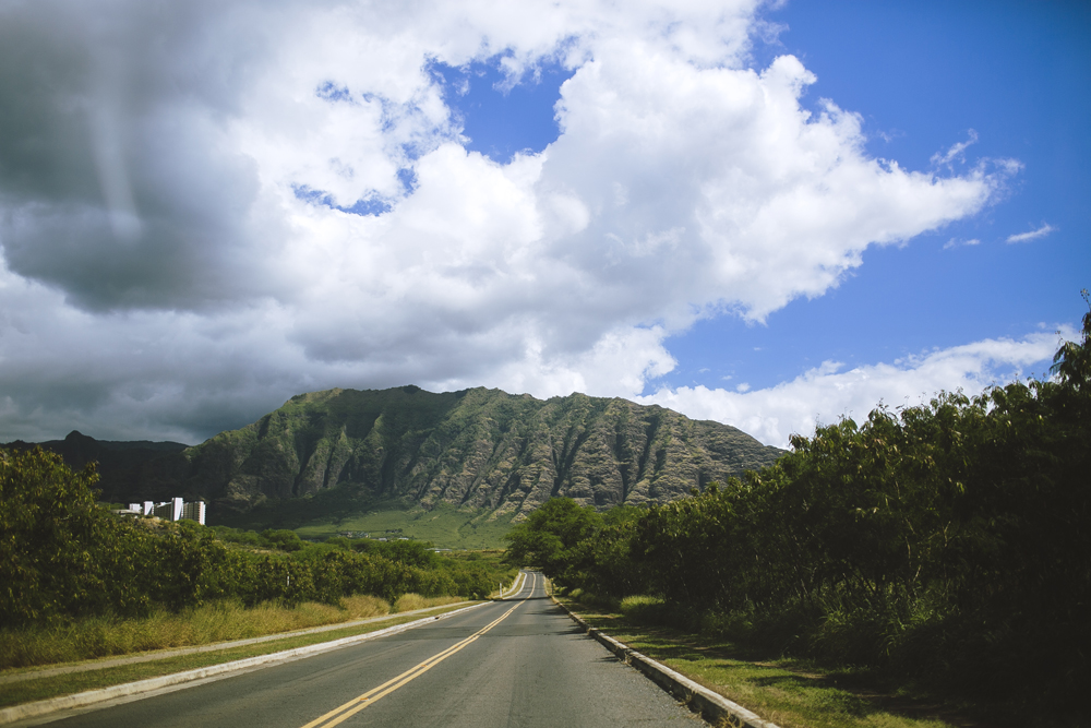 hawaii-wedding-videography_18.jpg