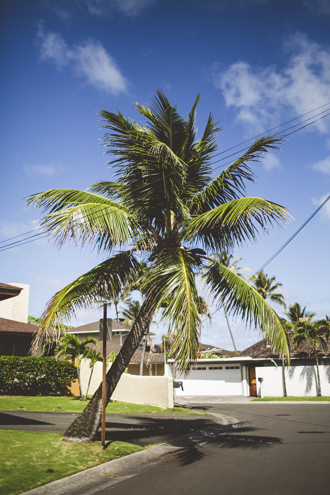 hawaii-wedding-videographer_03.jpg