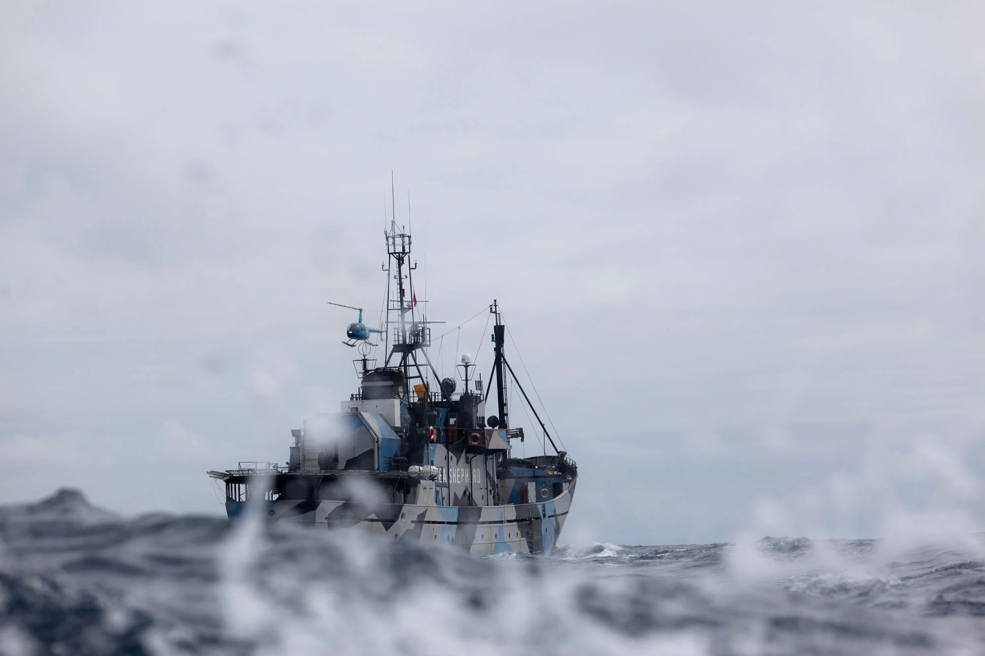 161217CMSteveIrwin37_MG_8728.jpg