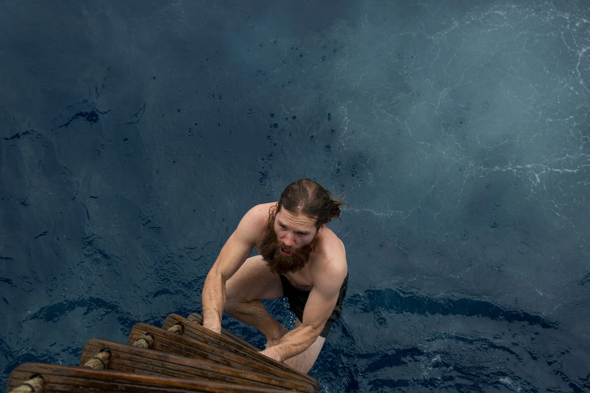 170112CMPenguinSwim42_T5A9900.jpg