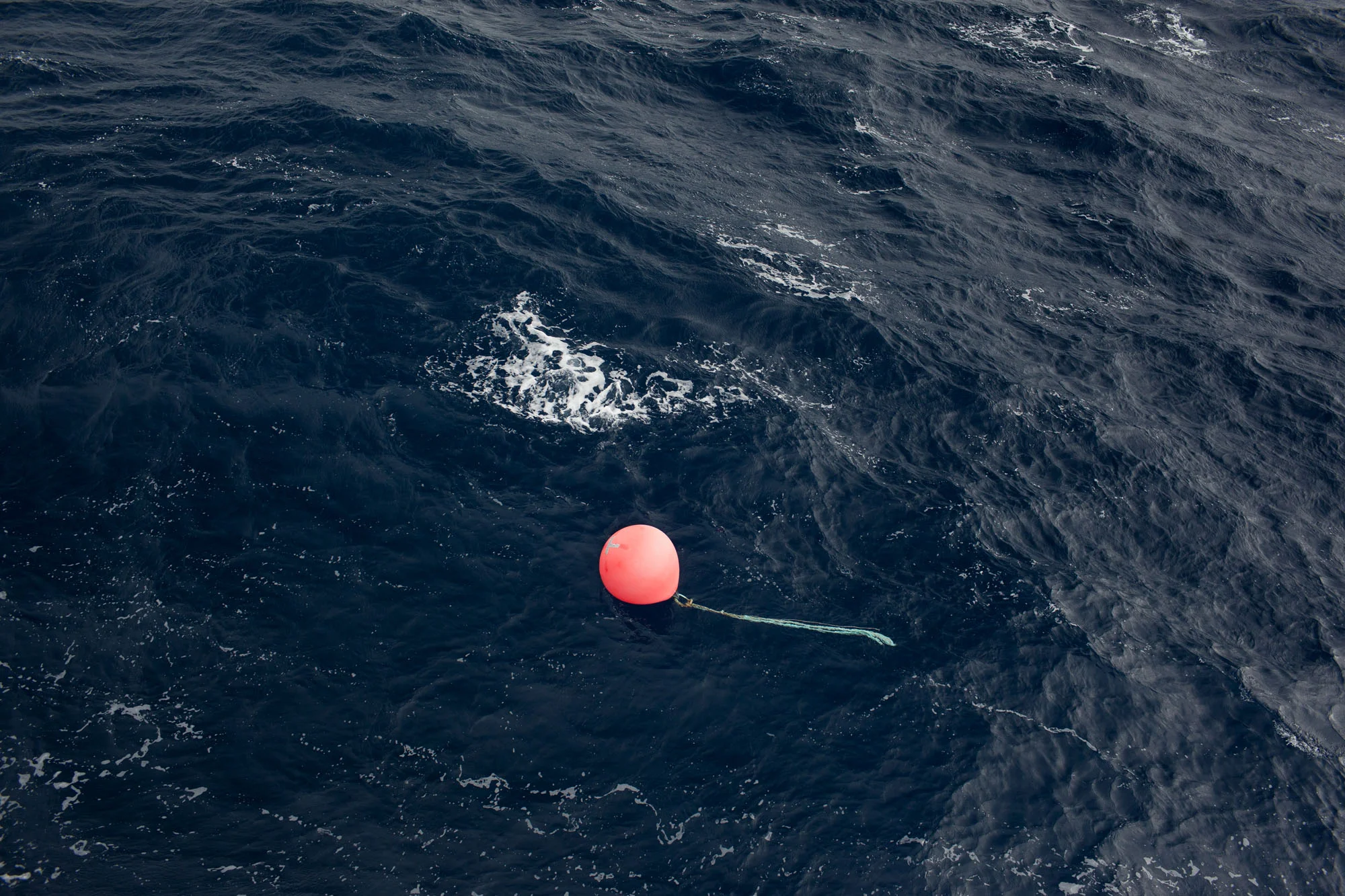 170118CMMarineDebris40_MG_7022.jpg