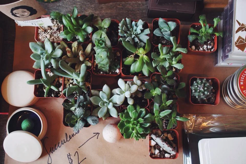 All of them, please.