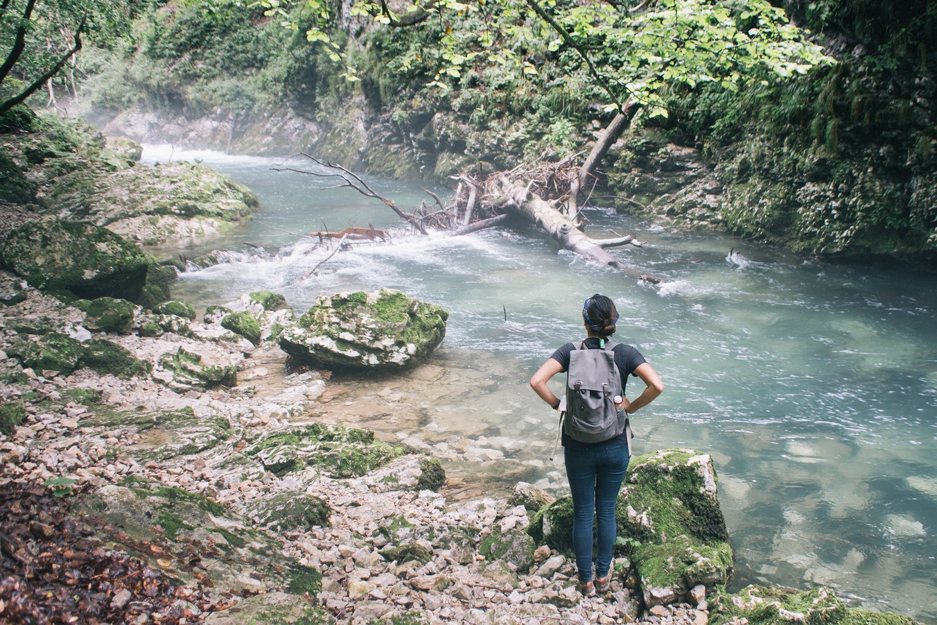 Vintgar Gorges