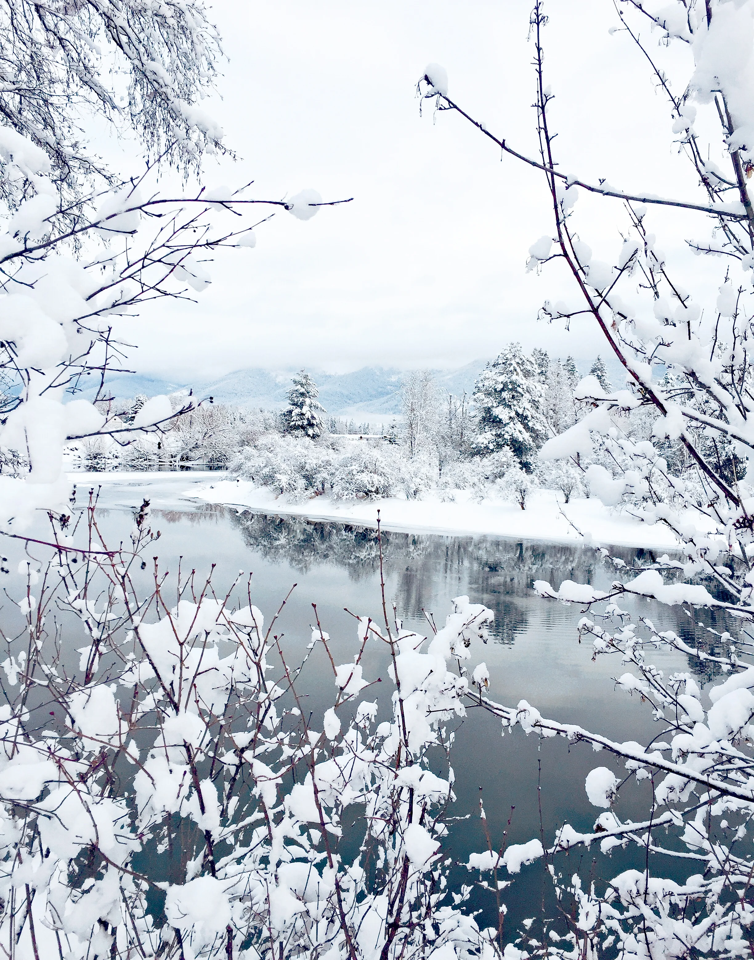 Winter in Montana Taken near Glacier National Park