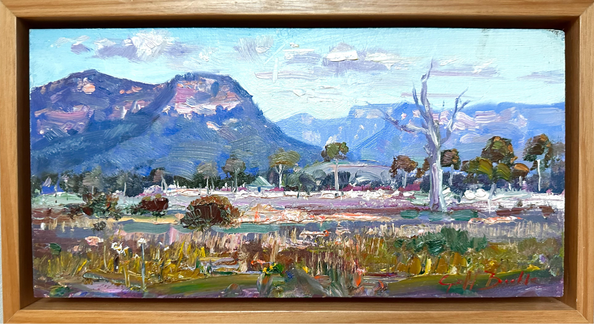 Afternoon in Capertee Valley Glen Alice.png