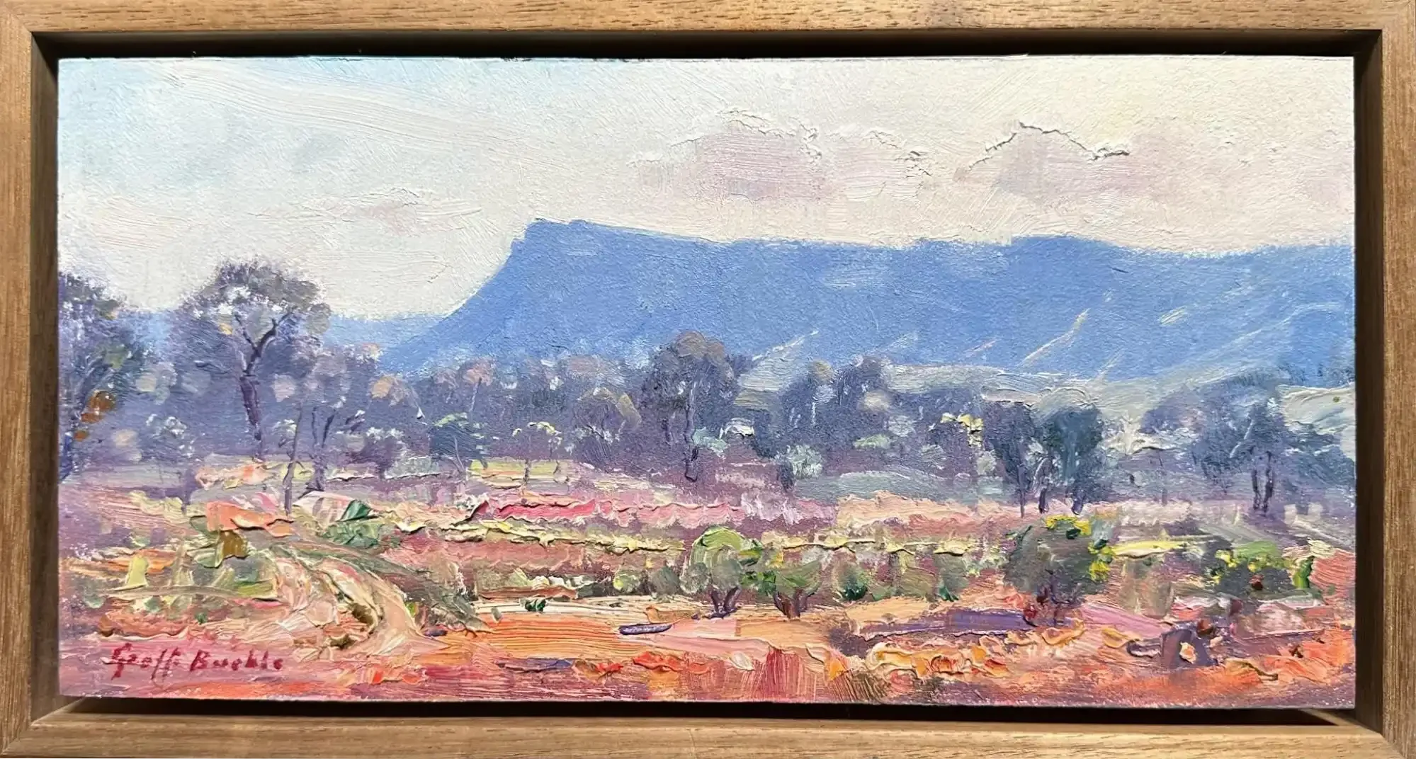 Kings Canyon Northern Territory.webp