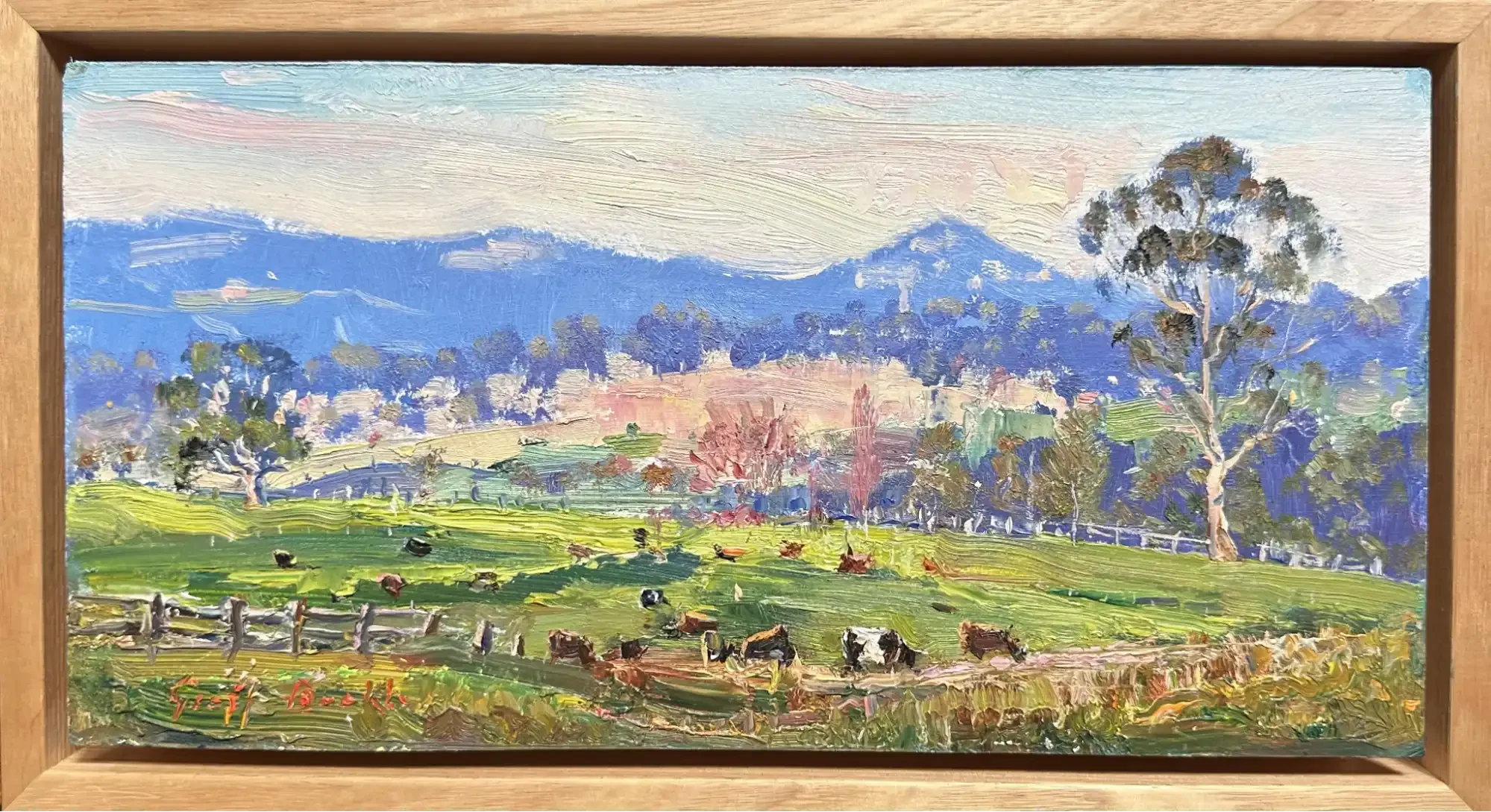 Across the Paddock Kangaroo Valley.webp