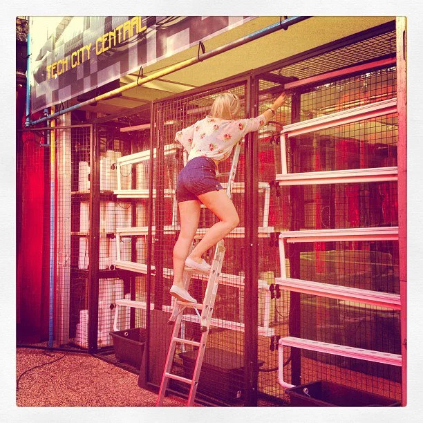 Setting up hydroponics commissioned by Tech City