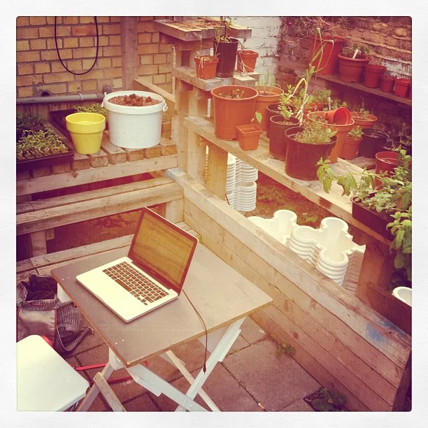 Working in the back yard