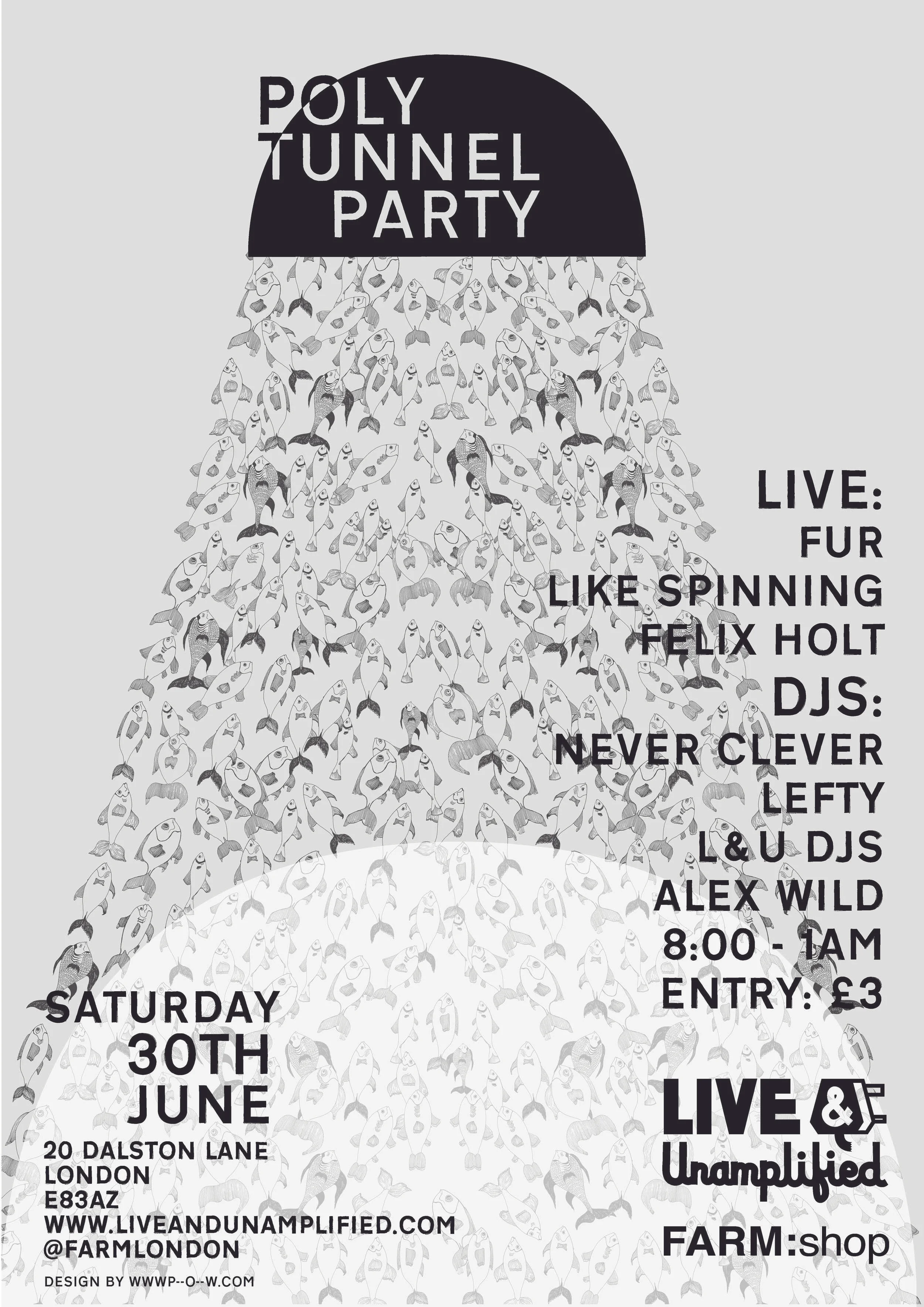 Party in a Polytunnel flyer