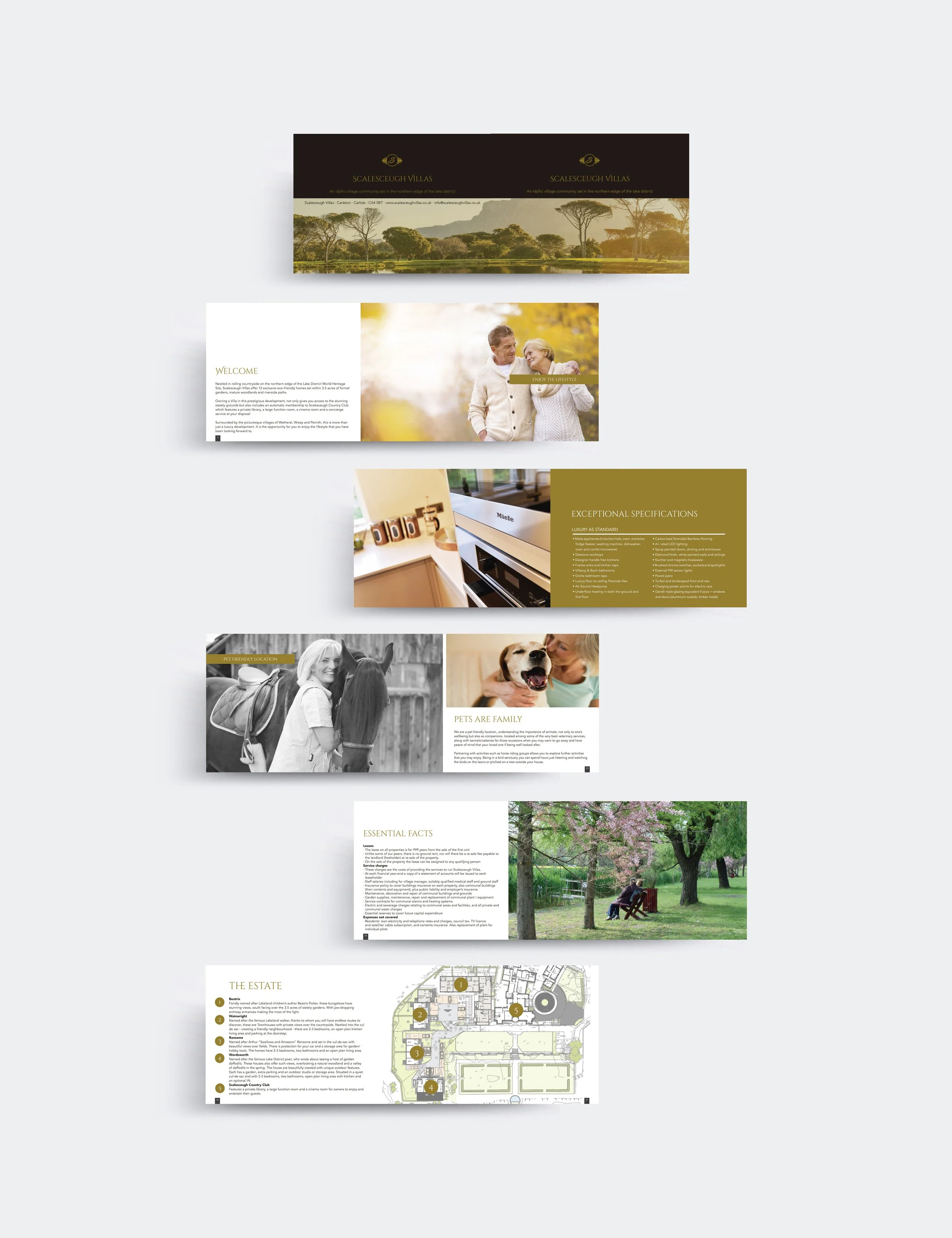 [ A5 brochure - concept &amp; design ]   Collaborative project - concept &amp; design      Scalesceugh Villas  