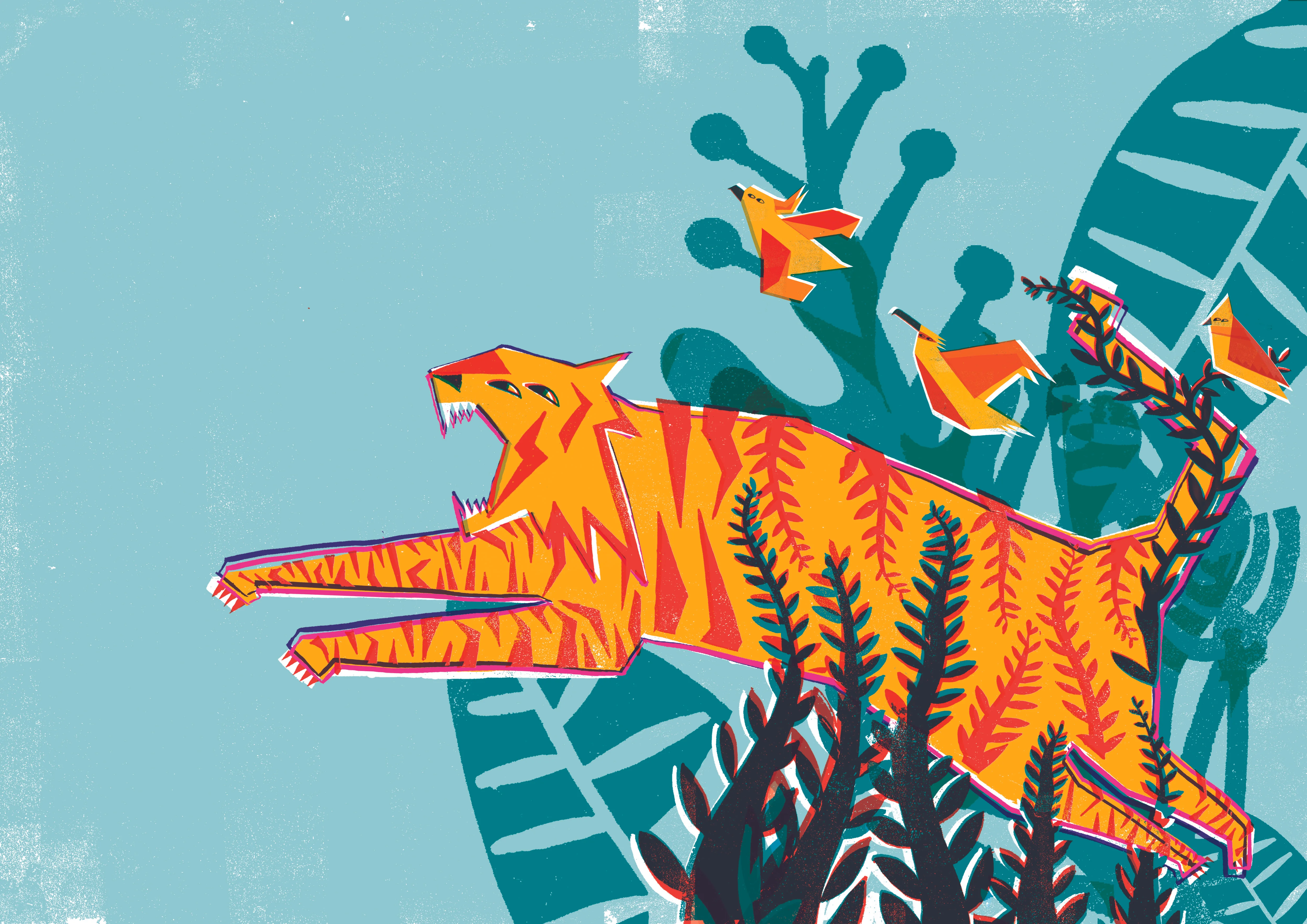 Animate Exeter - Test Days