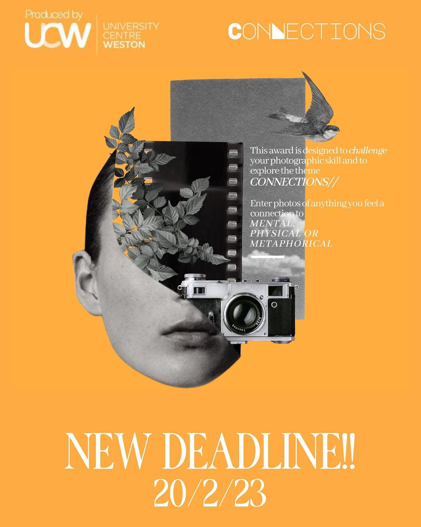 New deadline! By popular demand we have decided to give you all a little extra time to get your work submitted! Our new deadline is 20/2/23! But once this deadline is closed you will not be able to submit any work! We look forward to seeing all your 