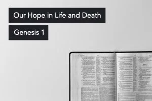 Online Service: Genesis 1