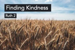 Finding Kindness: Ruth 2