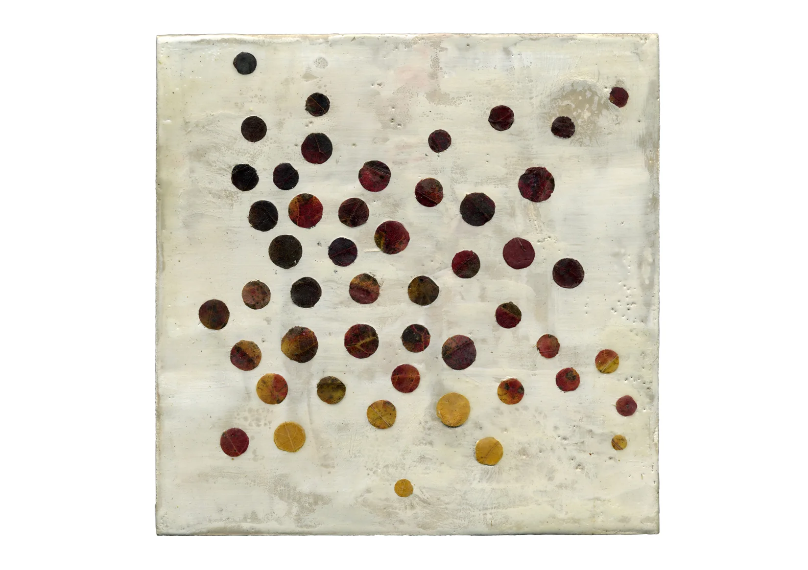 Focal Points 08
