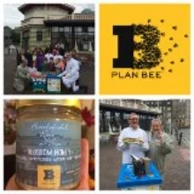 Plan Bee.jpg