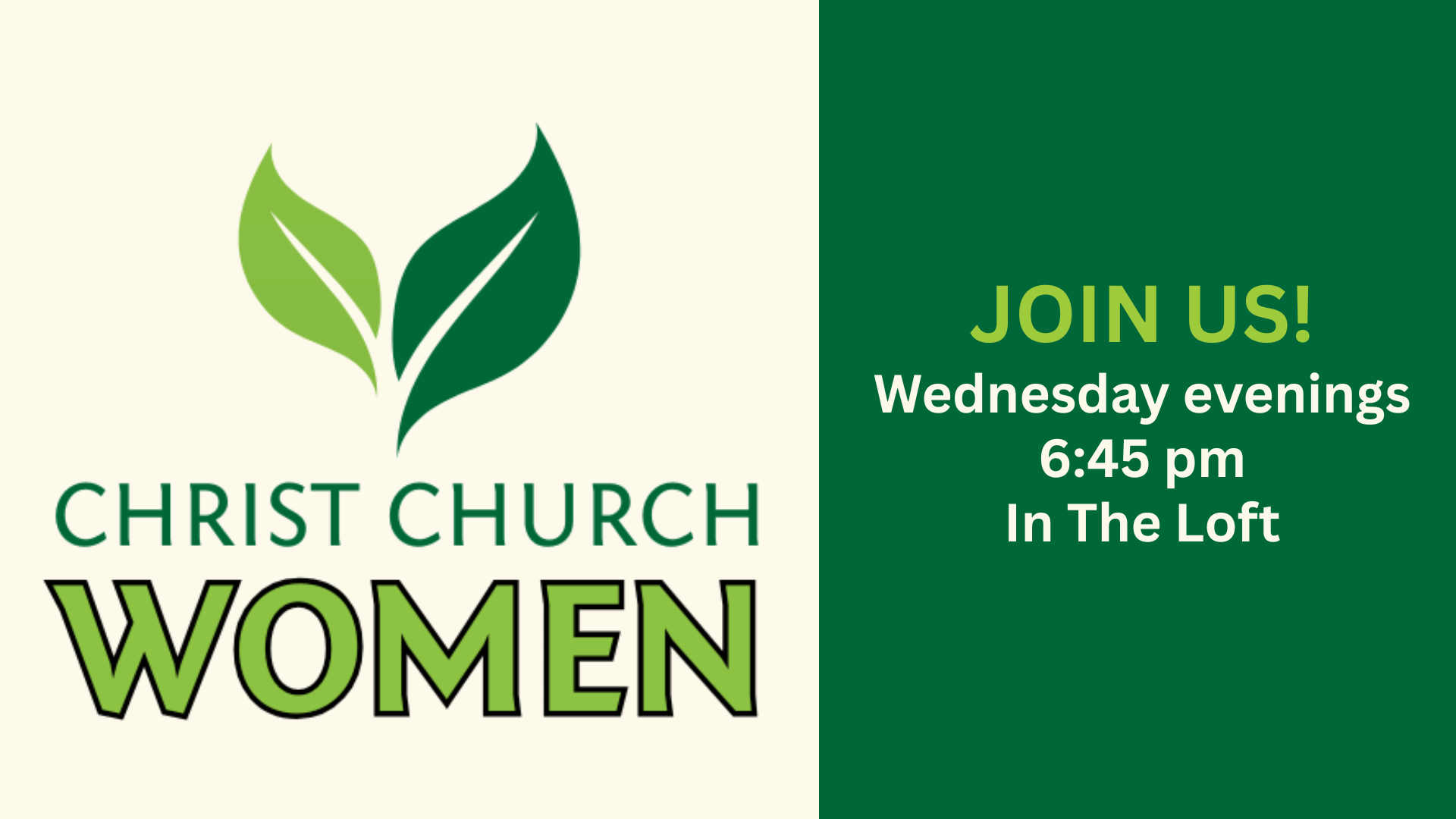 Women's  group study web page on Matthew.png