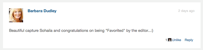 Some of the comments from fellow photographers on National Geographic website.