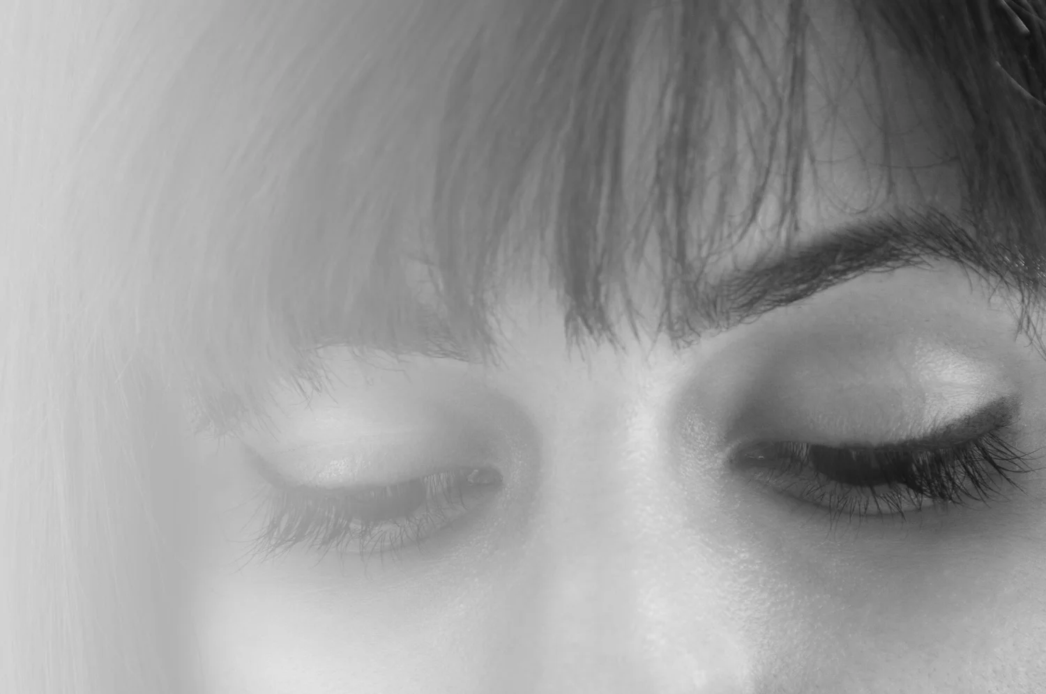 Taking bookings for studio portraiture shoots