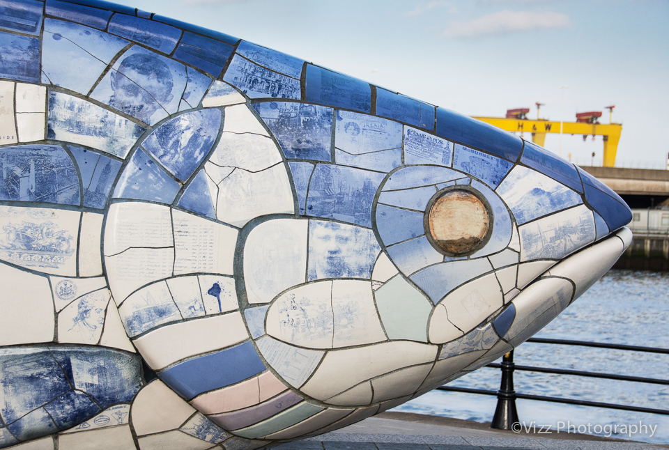 The Big Fish 2