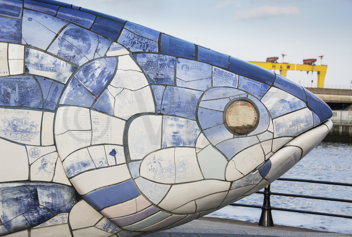 The Big Fish 2