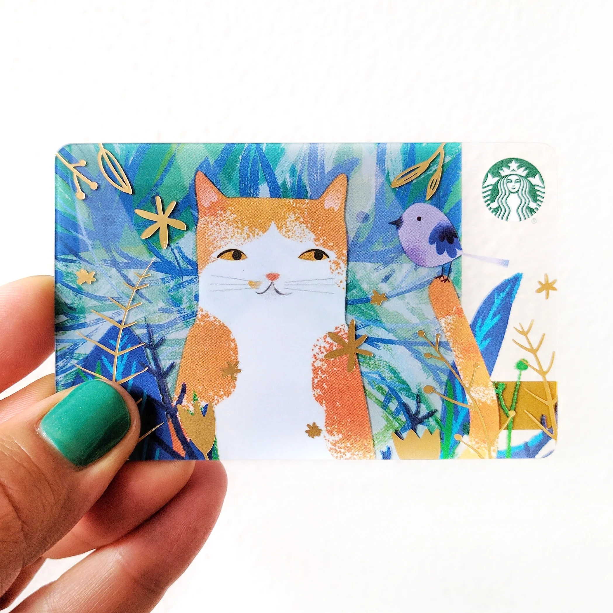 sbux card toaster.jpeg