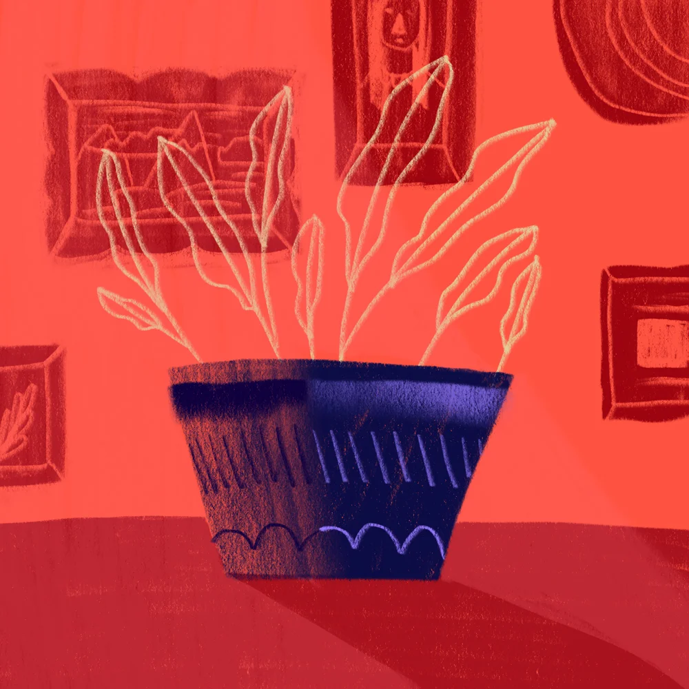 Ghost_plant.jpg