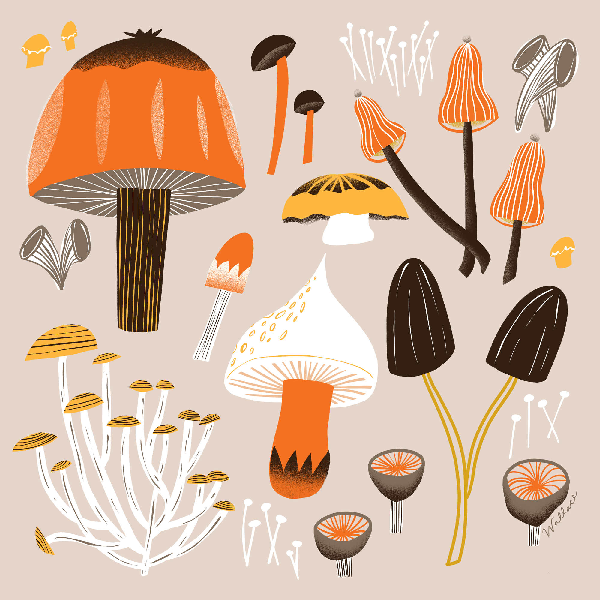 autumn_shrooms_wallace.png