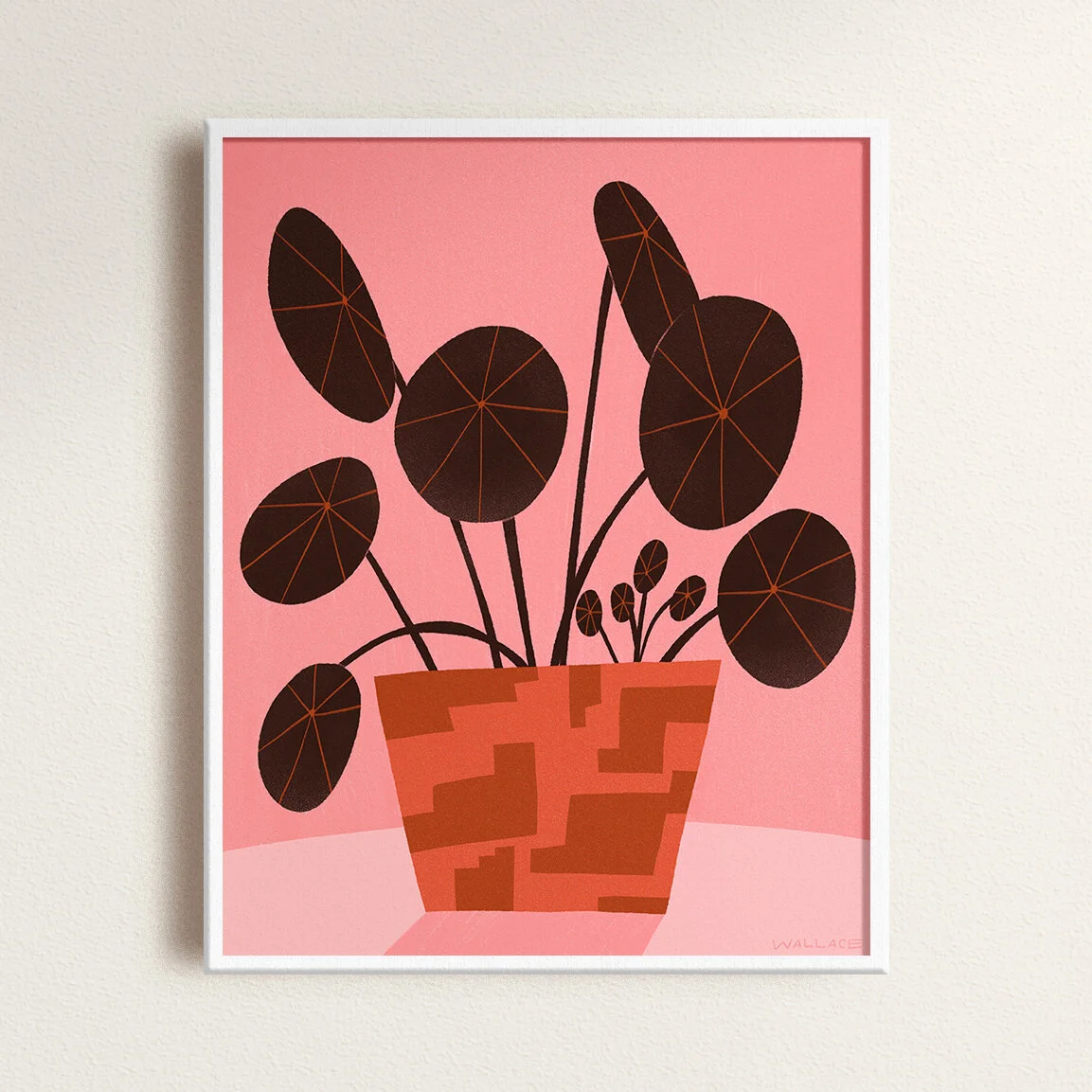 pink pilea.jpg