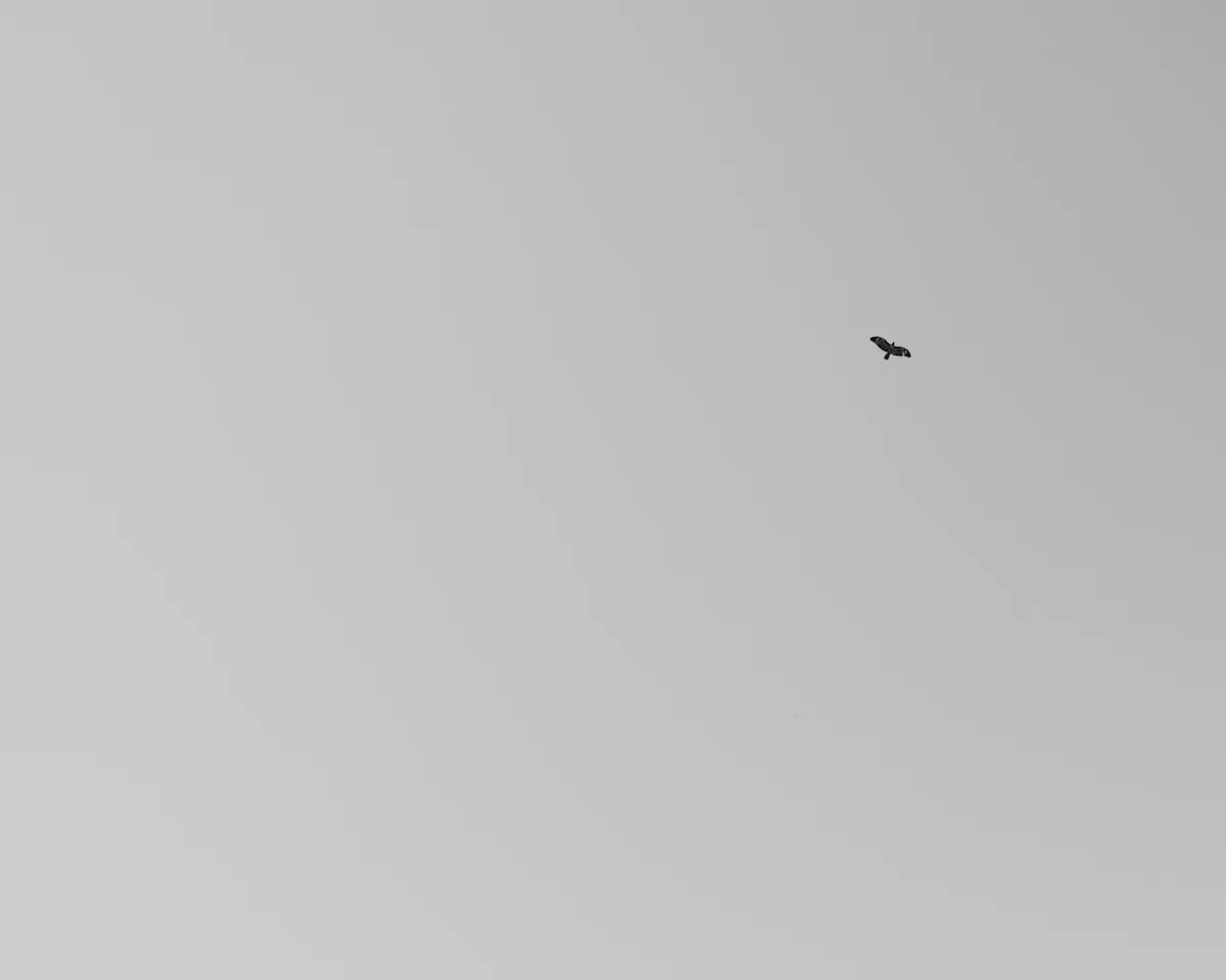 L1020368.jpg
