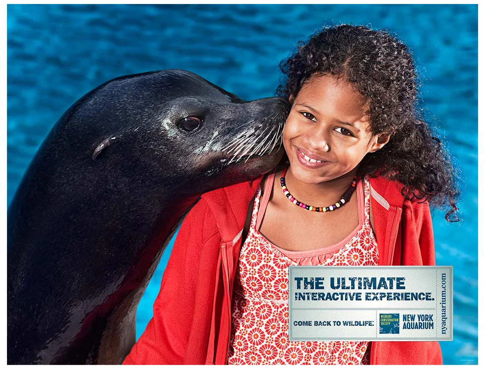 OUR_MAN_IN_HAVANA_AQ_SEALION.jpg