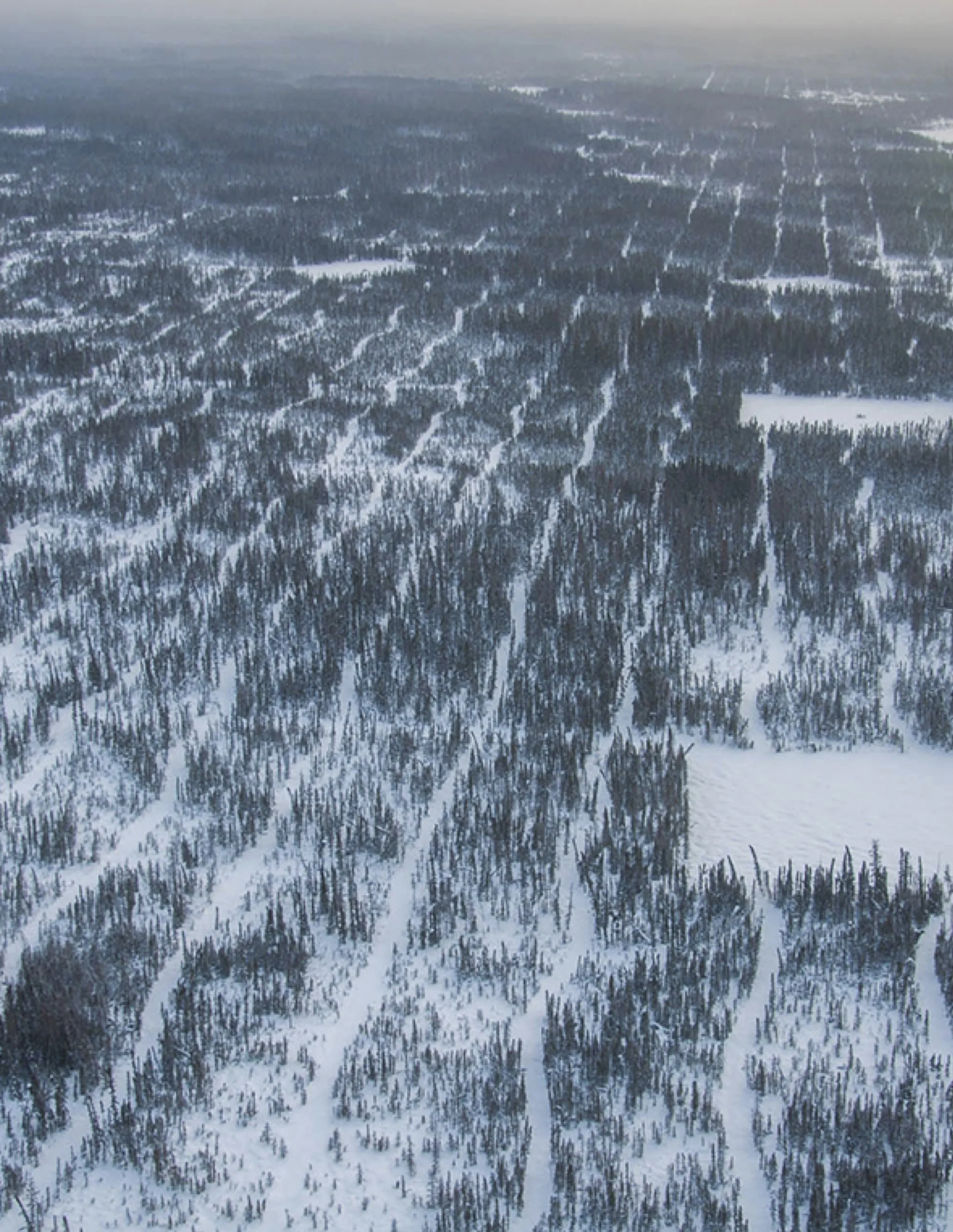 Thin Places Proposal - Jonathan Kawchuk (Static Copy)-1 copy 2.jpg